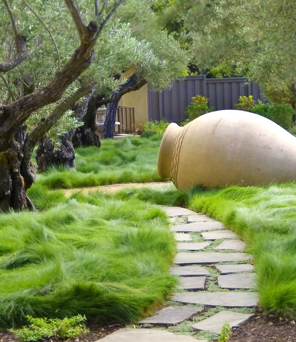BALDUR Garten Gräser Gräser-Teppich 'Carex Remota', 15 St., Winkel-segge, immergrün,winterhart, mehrjährig