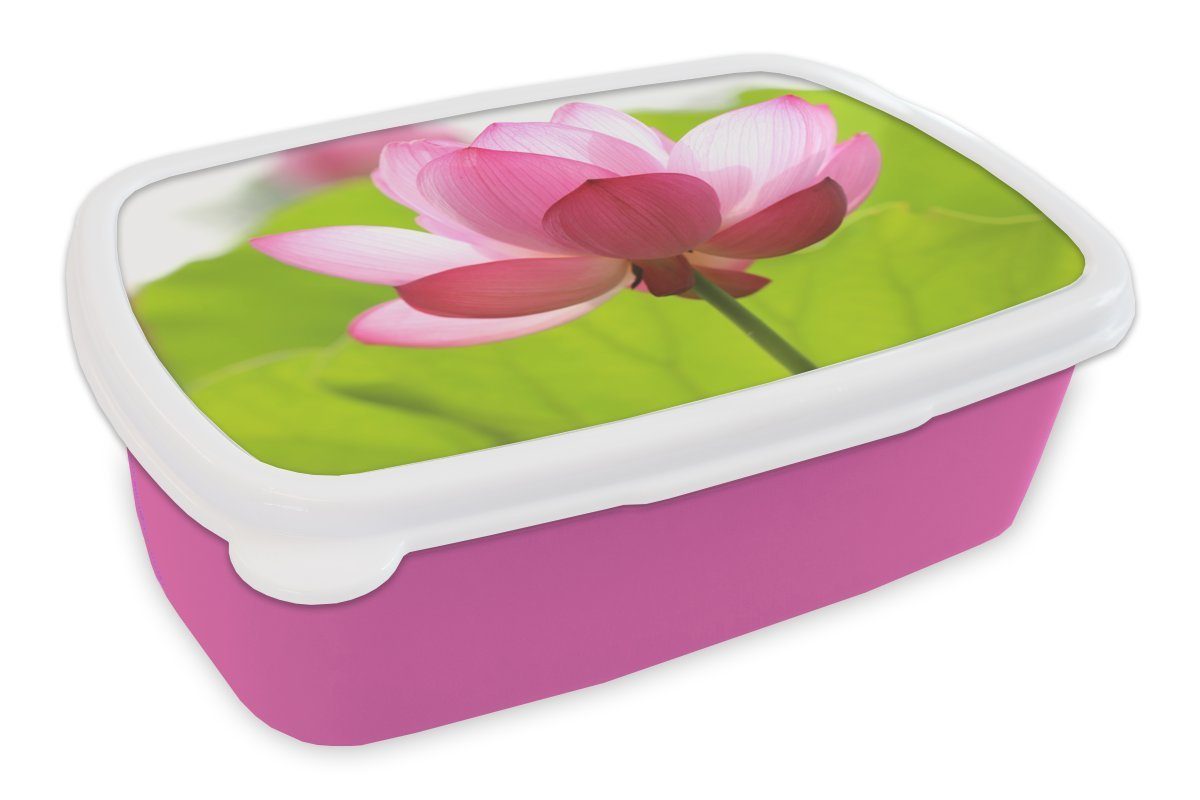 MuchoWow Lunchbox Blumen - Blätter - Rosa, Kunststoff, (2-tlg), Brotbox für Erwachsene, Brotdose Kinder, Snackbox, Mädchen, Kunststoff | Lunchboxen
