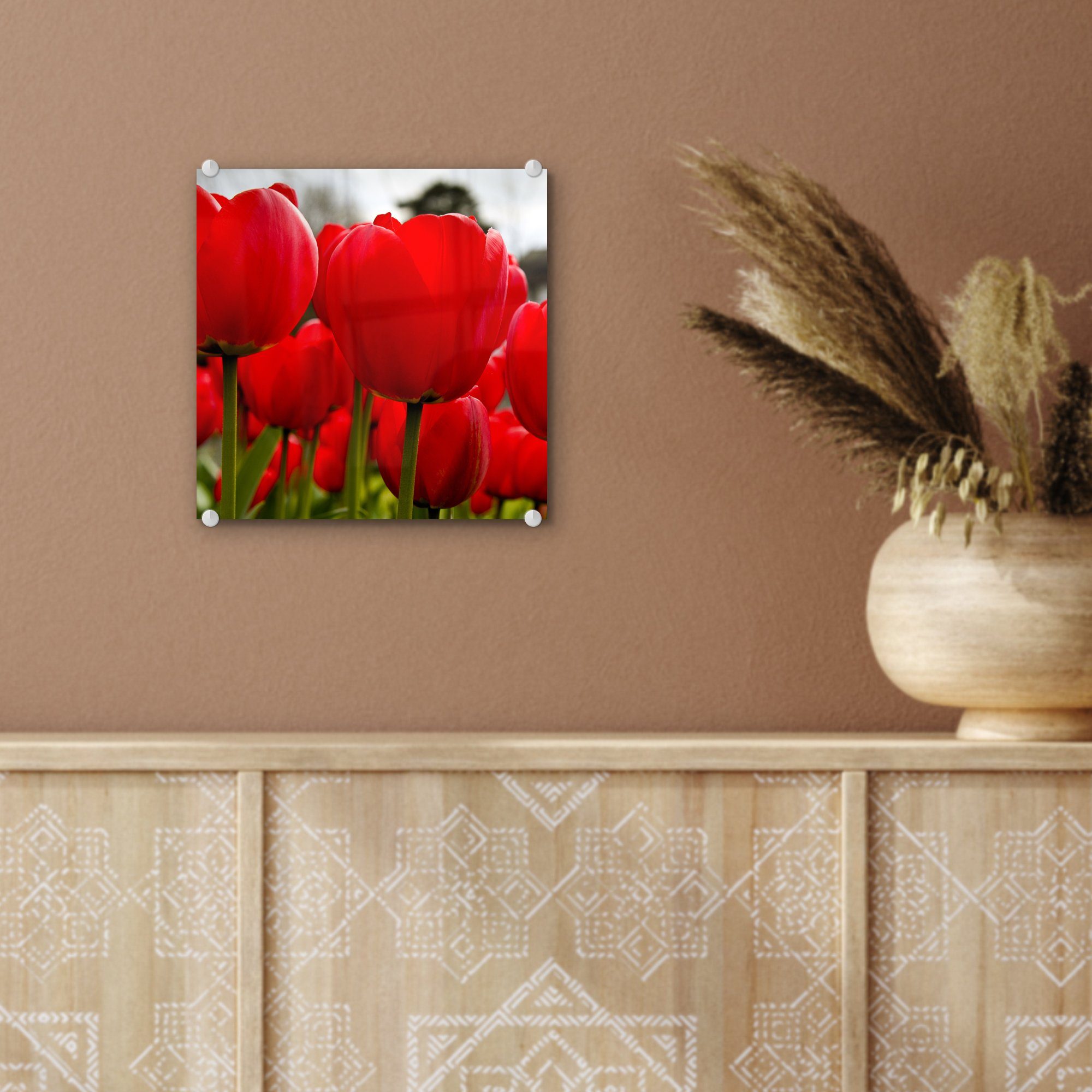 Bilder (1 St), Wandbild - - Tulpen, Foto auf Wanddekoration roten Glas Glas Glasbilder Nahaufnahme auf MuchoWow - von Acrylglasbild
