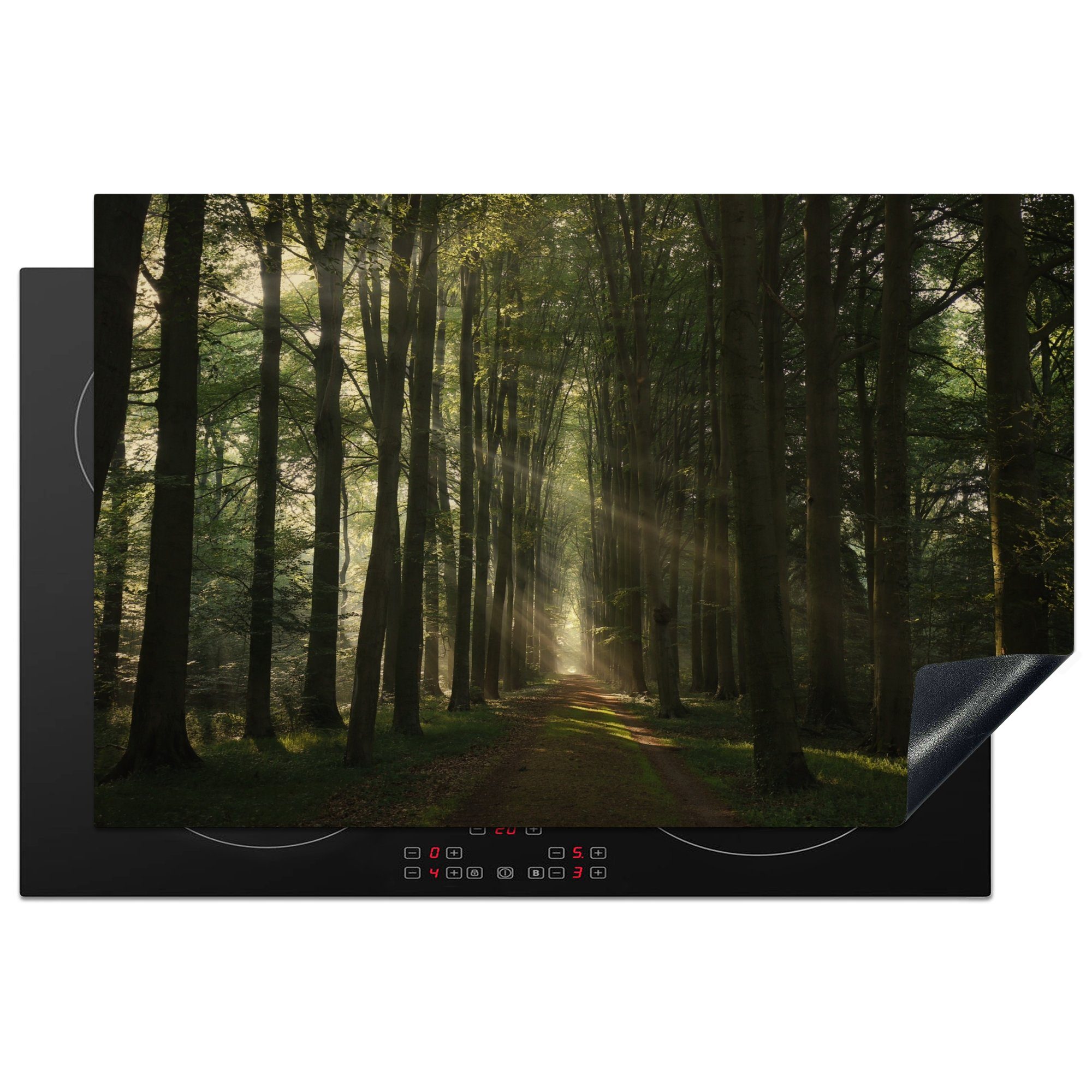 MuchoWow Herdblende-/Abdeckplatte Waldweg - Sonnenstrahlen - Horizont - Bäume - Wald, Vinyl, (1 tlg), 81x52 cm, Induktionskochfeld Schutz für die küche, Ceranfeldabdeckung