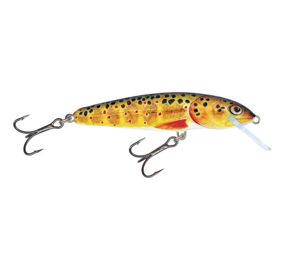 Kunstköder Salmo Minnow Wobbler Crankbait T Trout