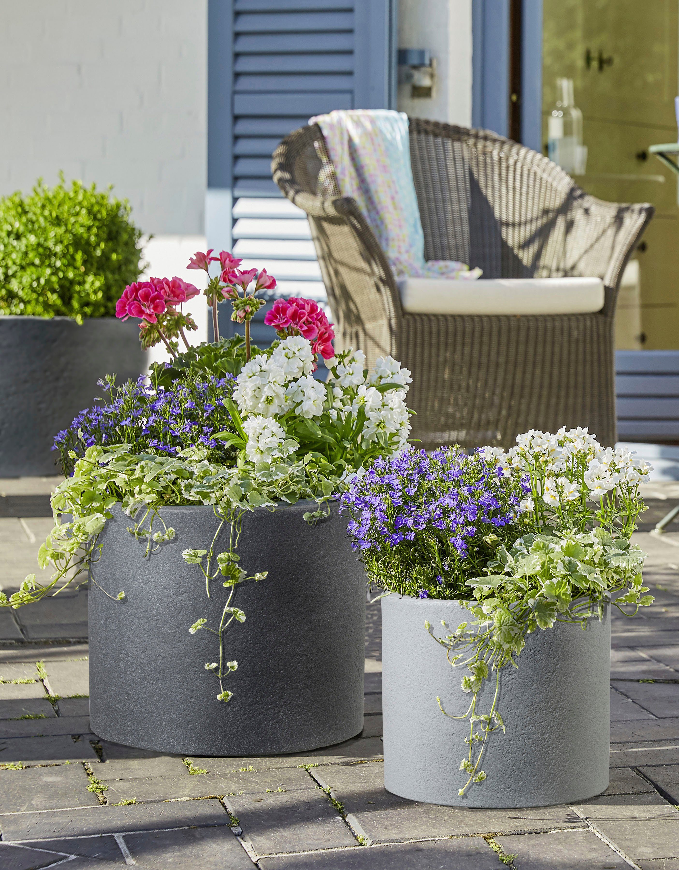 Scheurich Blumentopf 30/130 PANZANO günstig online kaufen