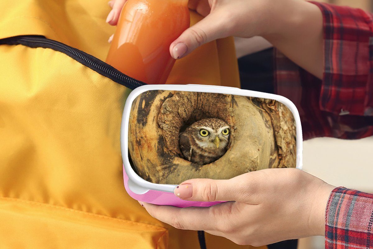Kunststoff Kunststoff, Baum Lunchbox für Loch Brotbox rosa MuchoWow Erwachsene, aus Kinder, Mädchen, in die einem schaut, einem Brotdose Braune Snackbox, Eule, (2-tlg),
