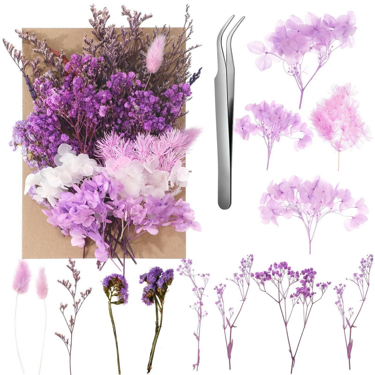 Trockenblume Trockenblumen Set Lila für Deko & Basteln, LuxusKollektion, Höhe 1 cm