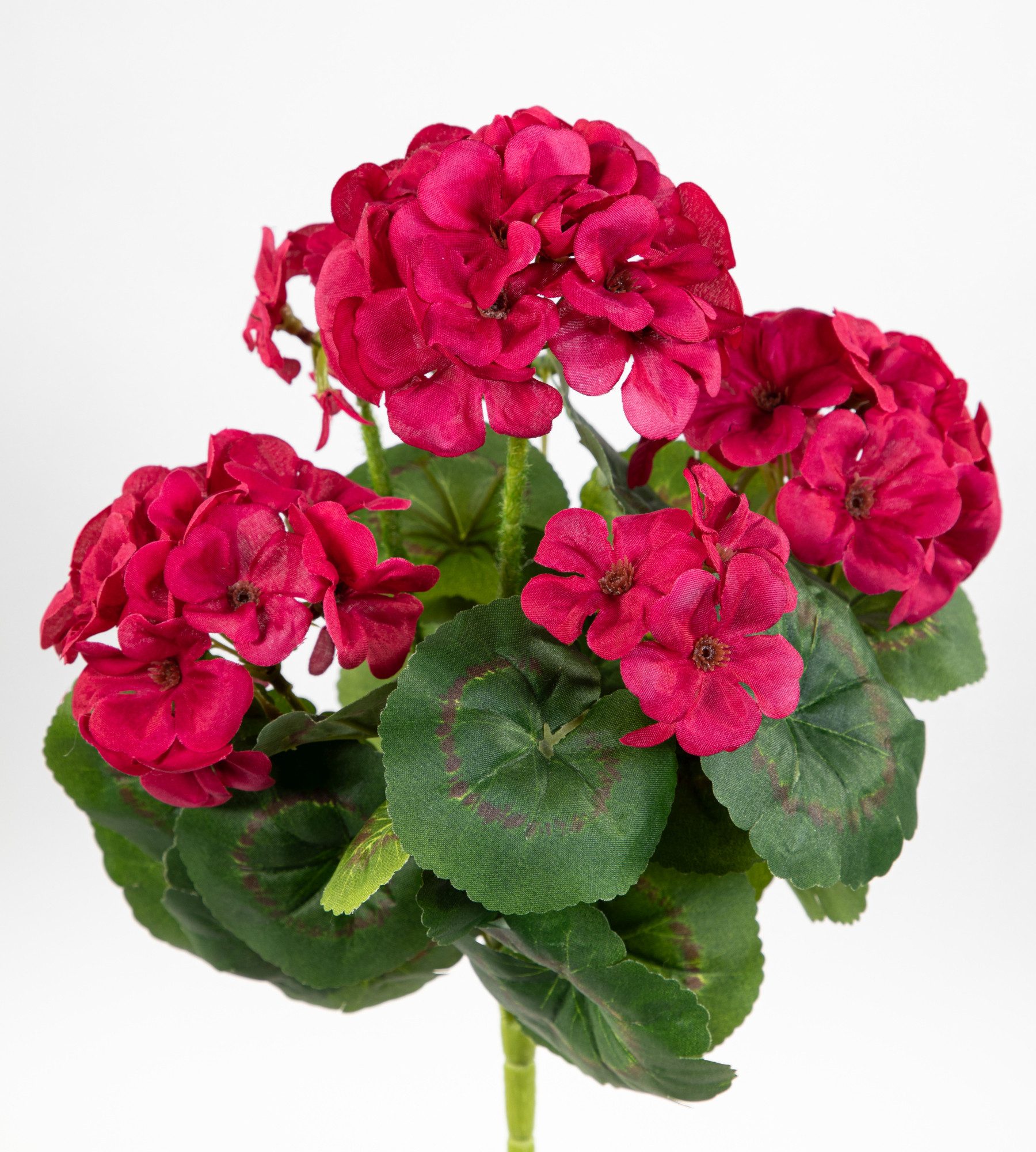 Kunstblume Geranie 32cm LM Kunstpflanzen künstliche Blumen Pflanzen Pelargonium, Seidenblumen Roß, Höhe 32 cm, Fuchsia-Pink