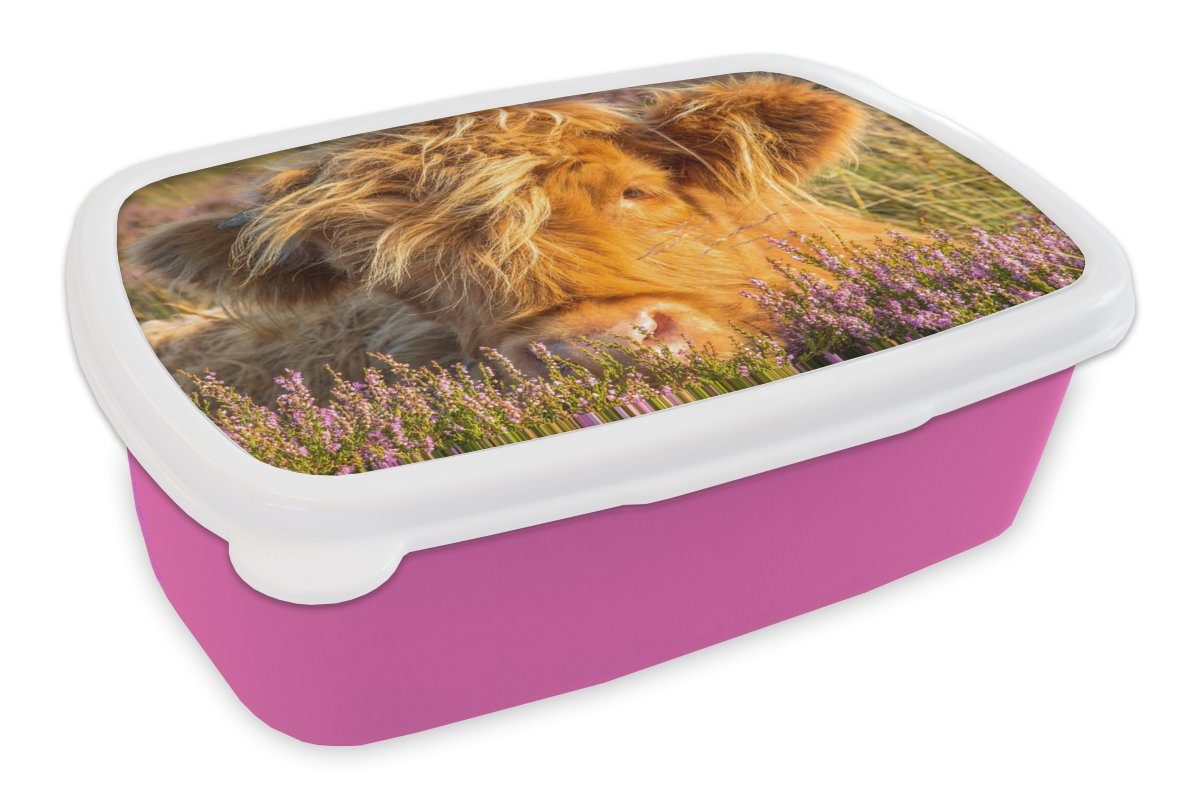 MuchoWow Lunchbox Schottische Highlander - Heide - Gras - Tiere, Kunststoff, (2-tlg), Brotbox für Erwachsene, Brotdose Kinder, Snackbox, Mädchen, Kunststoff rosa