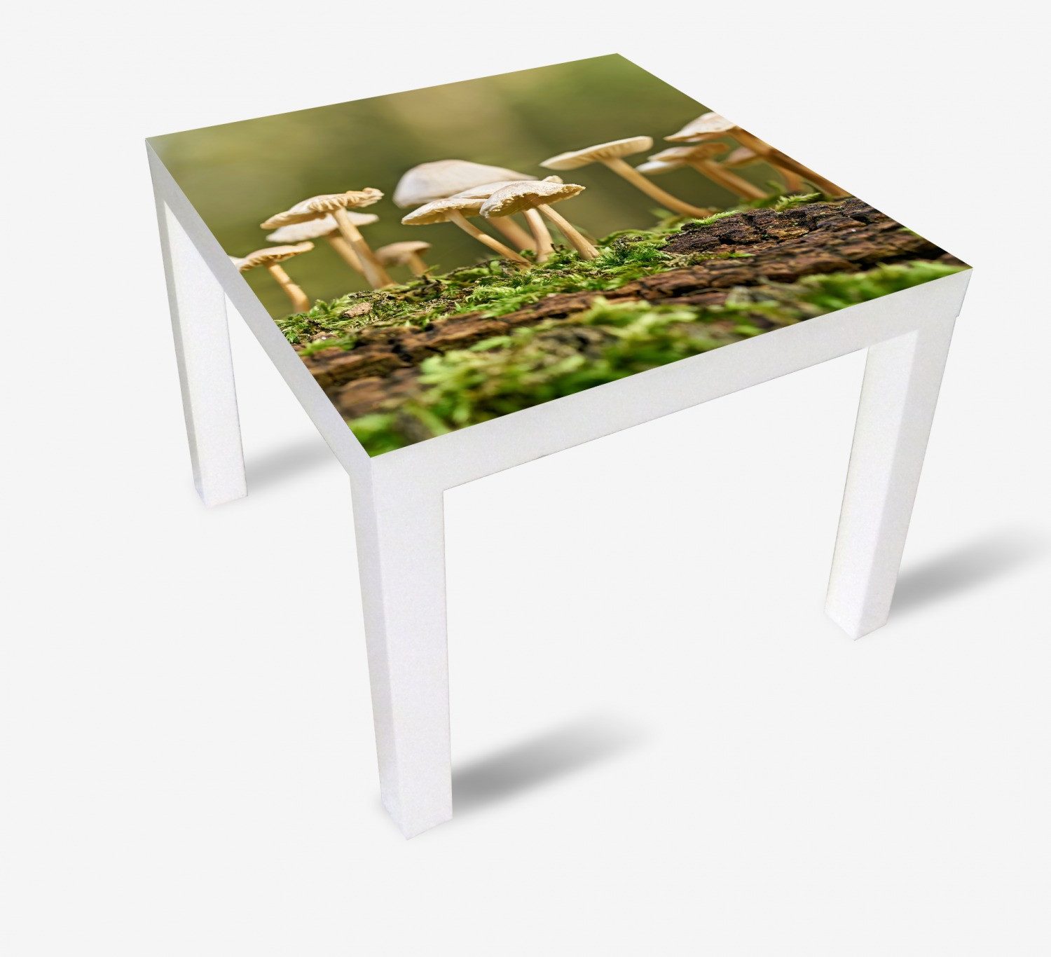 Wallario Tischplatte Pilze auf Baumstamm (1 St), für Ikea Lack Tisch geeignet