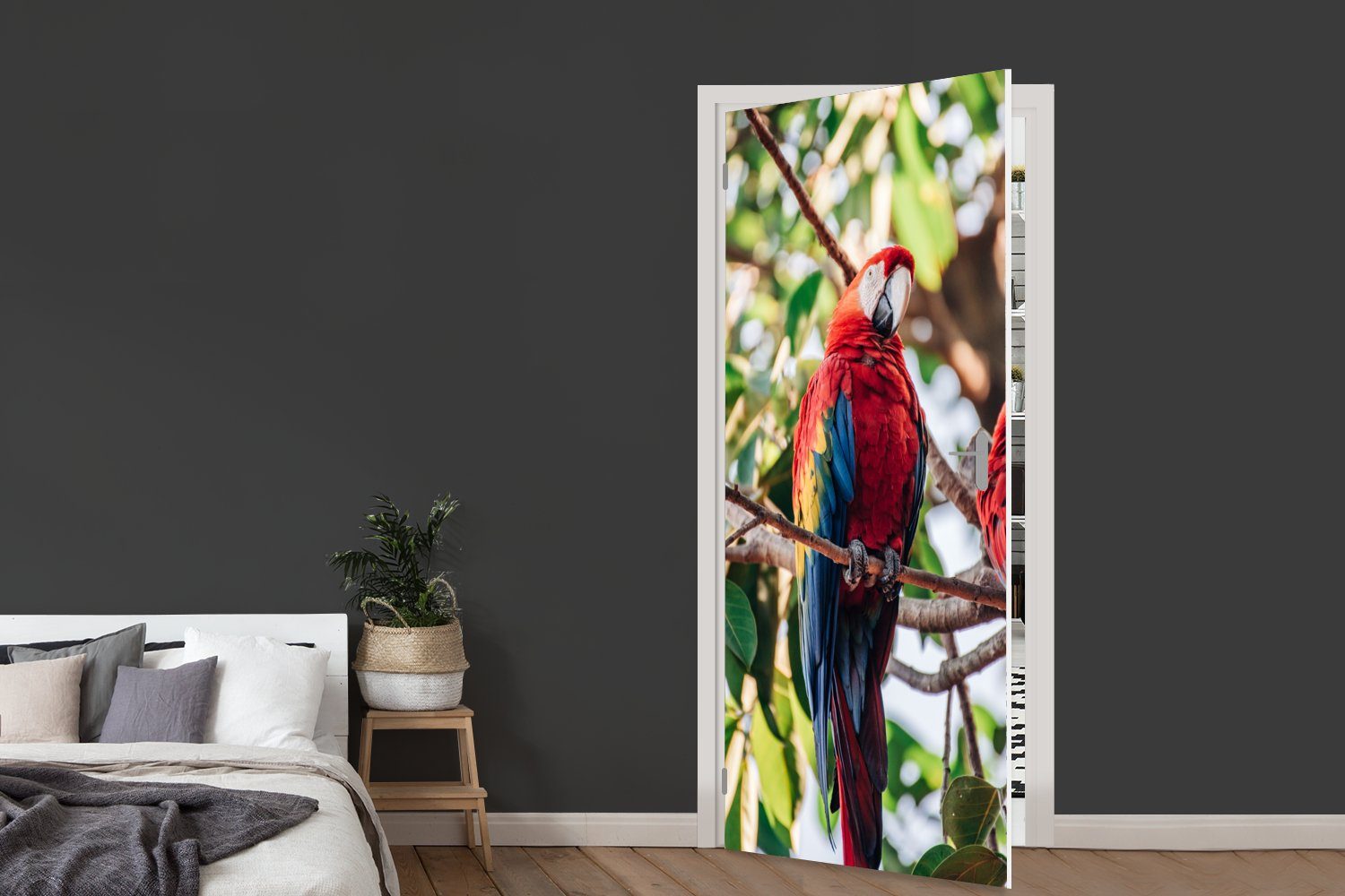 Türtapete 75x205 Papagei bedruckt, für - - cm Baum, (1 Vögel Türaufkleber, St), Fototapete MuchoWow Tür, Matt,