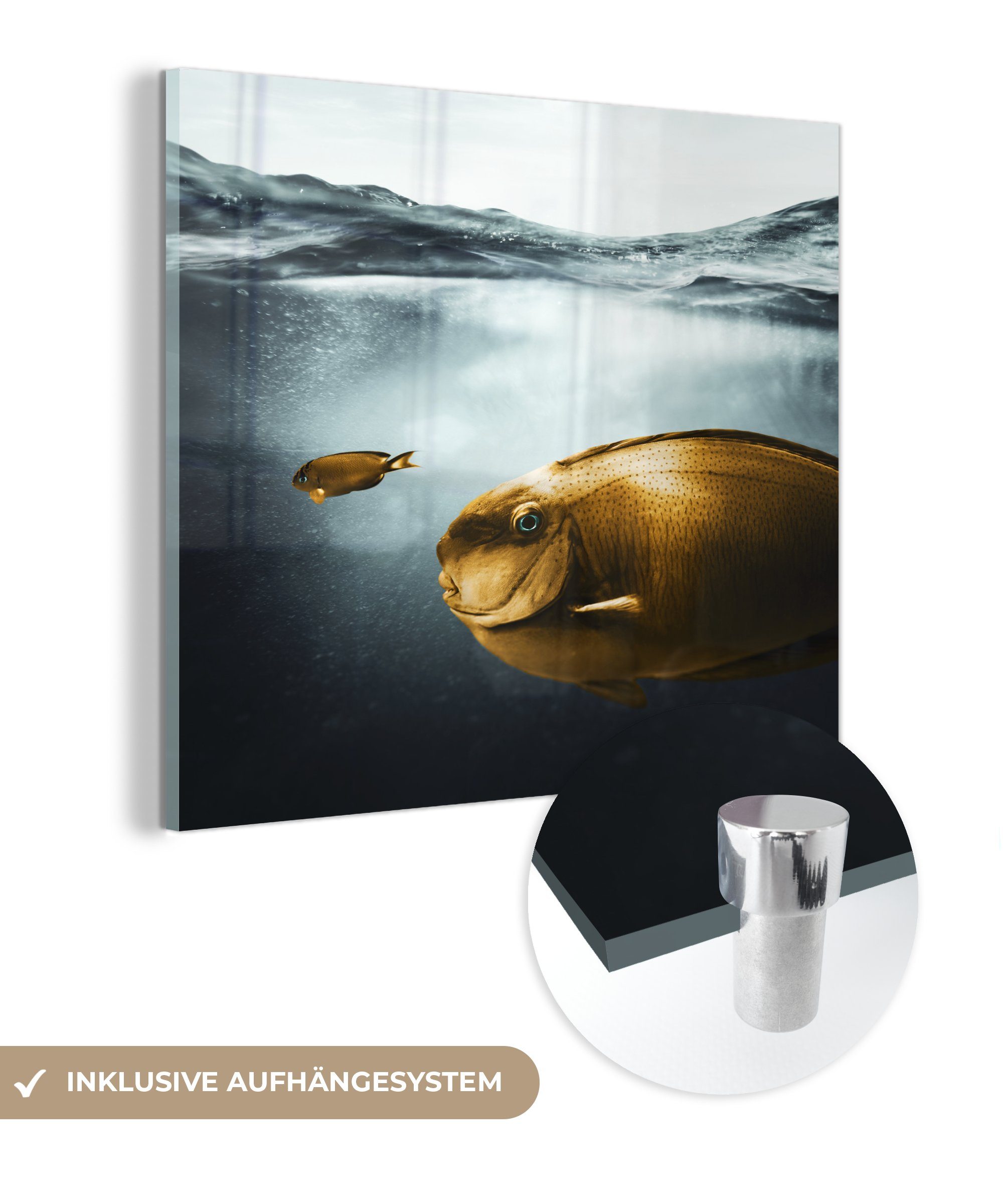 MuchoWow Acrylglasbild Meer - Fisch - Gold, (1 St), Glasbilder - Bilder auf Glas Wandbild - Foto auf Glas - Wanddekoration
