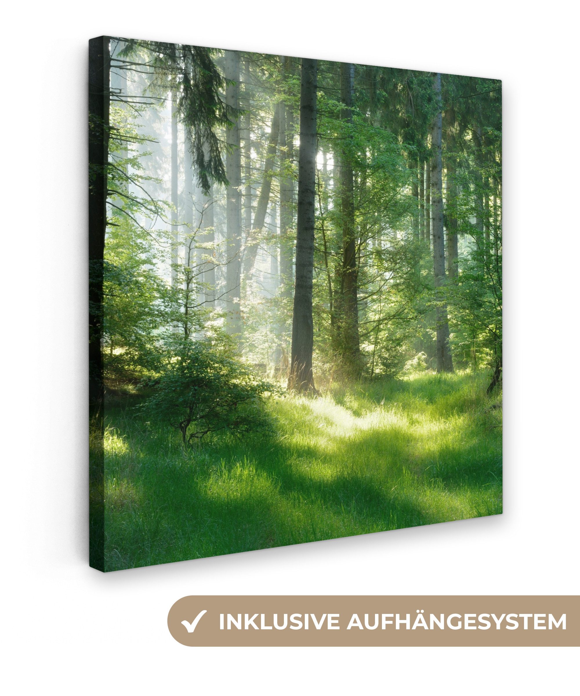 OneMillionCanvasses® Leinwandbild Natur - Bäume - Wald - Grün - Sonne - Gra günstig online kaufen