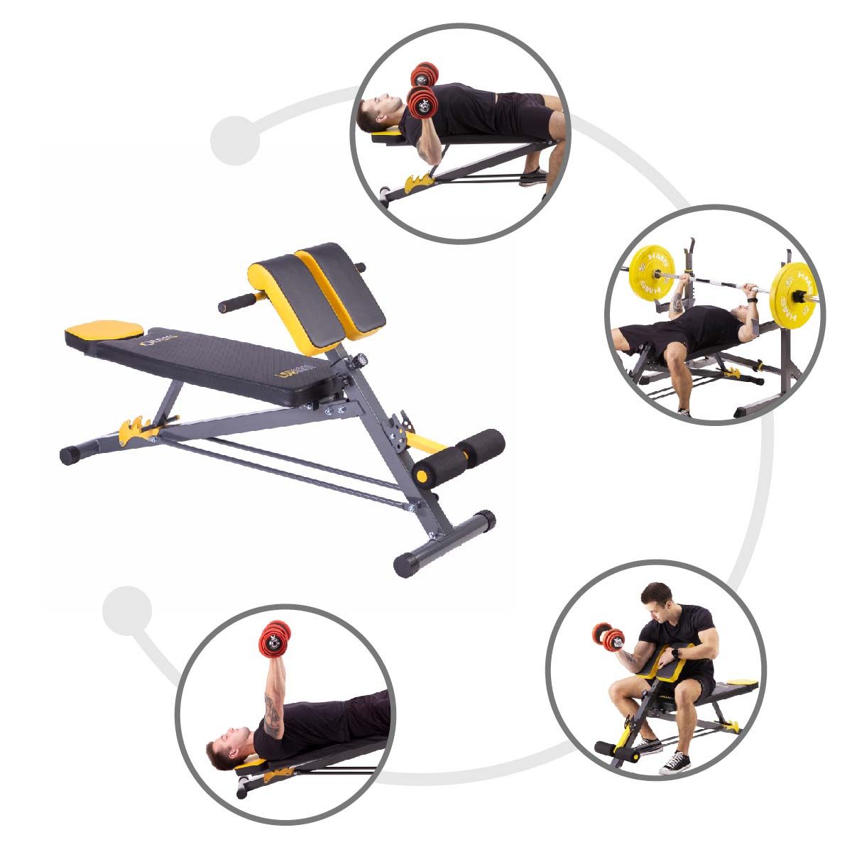 HMS Premium Bauchtrainer Rückentrainer Bauchmuskeltrainer Heimtrainer Trainingsbank 3 in 1, Multifunktional