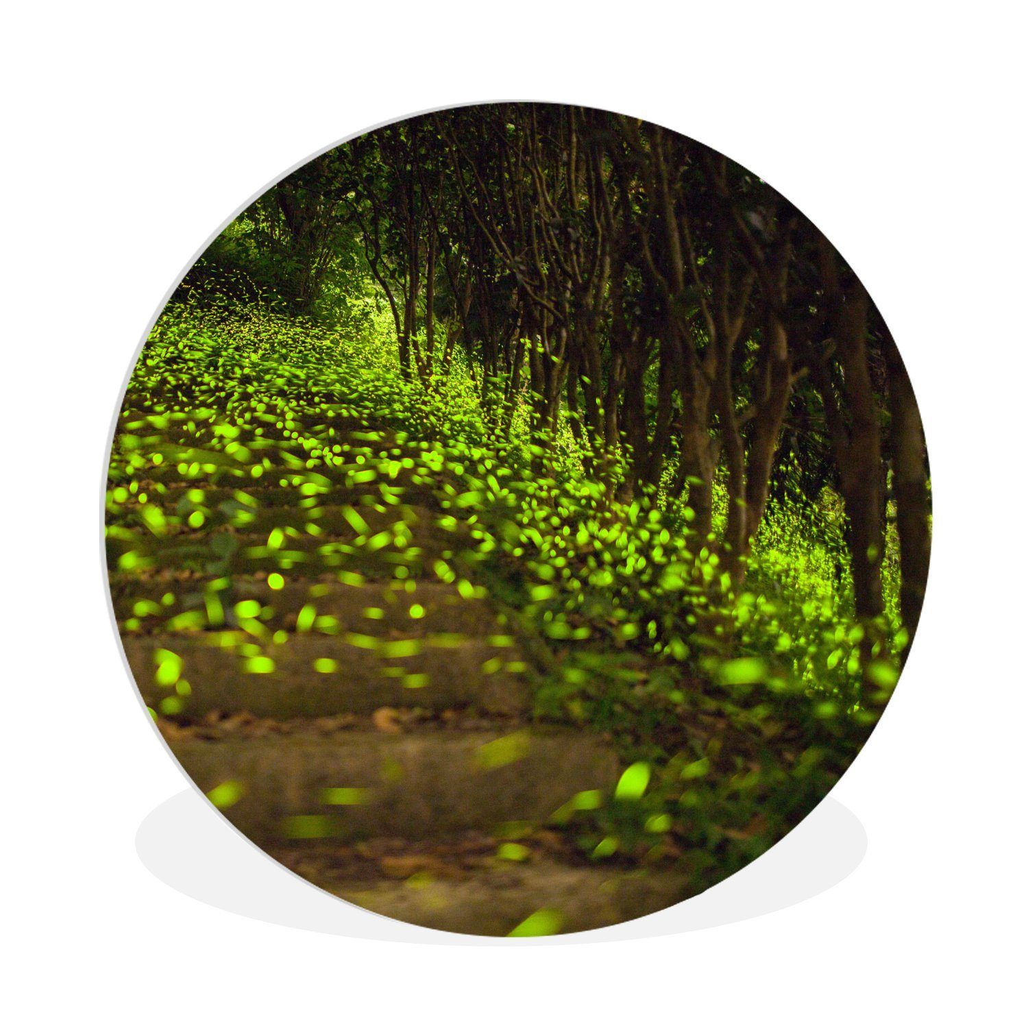 MuchoWow Gemälde Grüne Glühwürmchen fliegen tief über eine flache Landschaft, (1 St), Kreis Wanddekoration Forex, Rundes Wandbild, Wohnzimmer, 30x30 cm