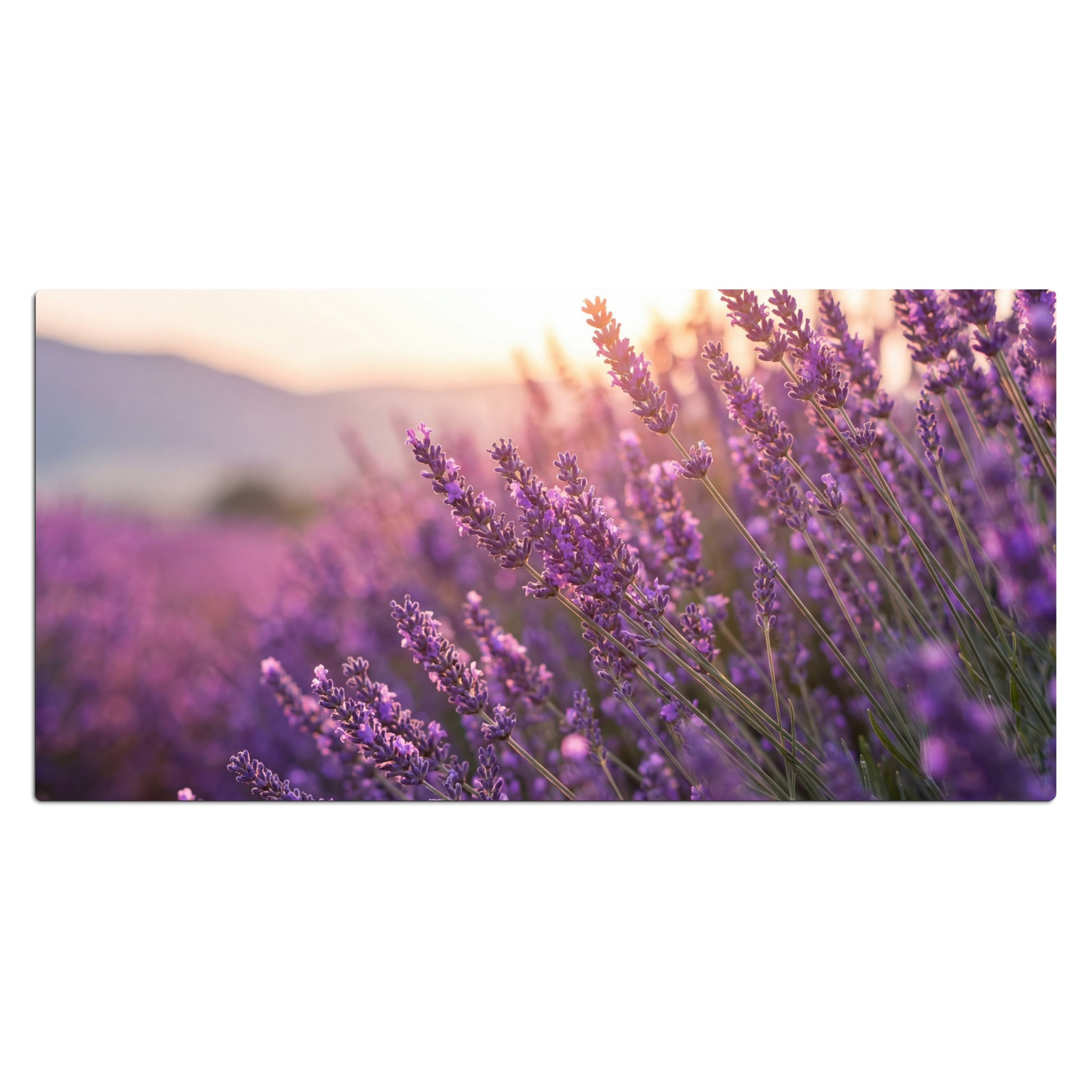 MuchoWow Gaming Mauspad Lavendel - Lila - Sonnenlicht (1-St), Gaming Mauspad XXL, Schreibtischunterlage, Desk Mat Groß, 80x40 cm