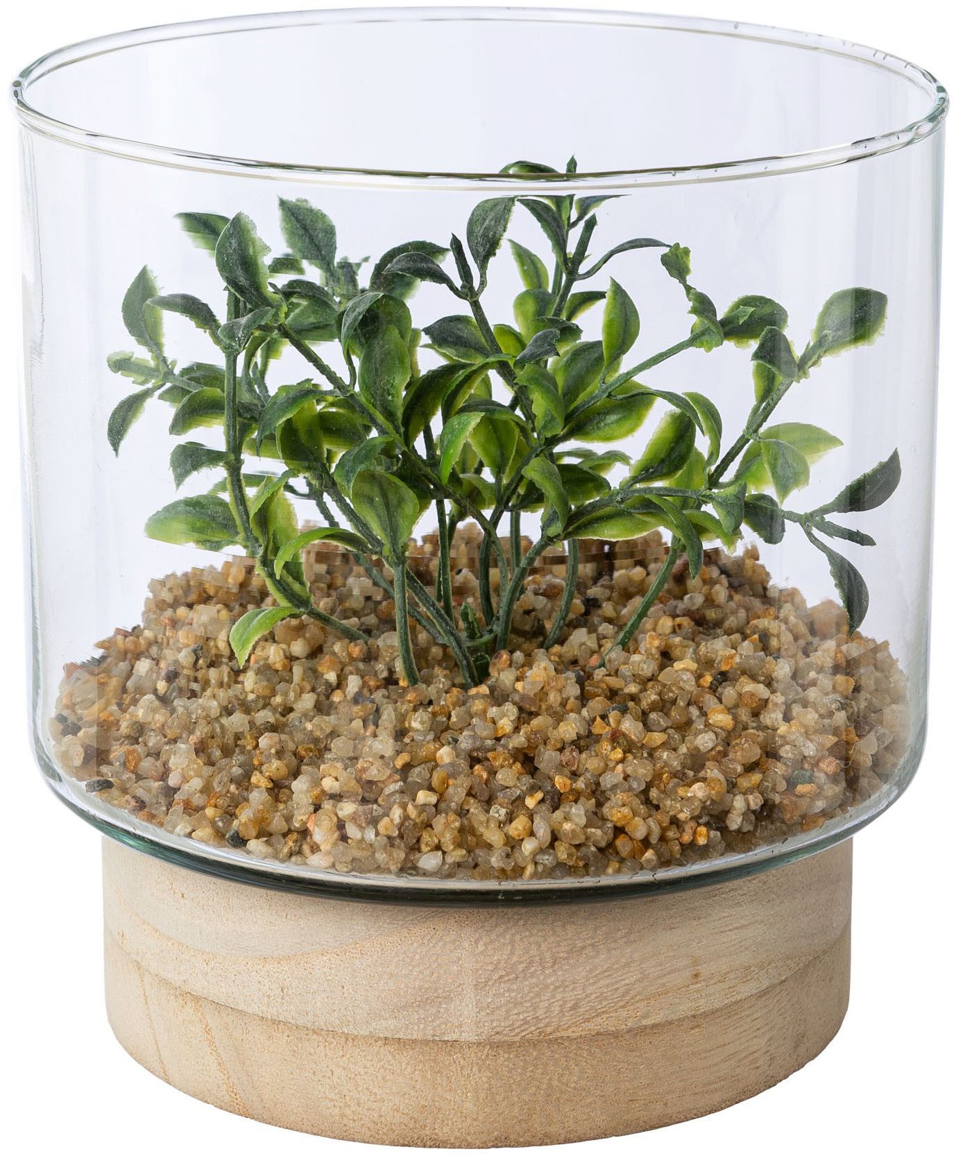 Kunstpflanze Sukkulenten im Glasgefäß, Creativ green, Höhe 12,5 cm, mit 2 verschiedenen Sukkulenten – Bild 2 von 4
