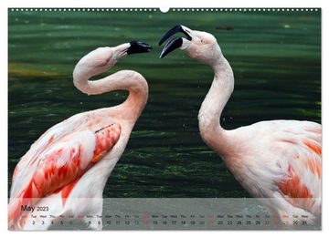 CALVENDO Wandkalender Flamingos Think pink (Premium-Calendar 2023 DIN A2 Landscape)