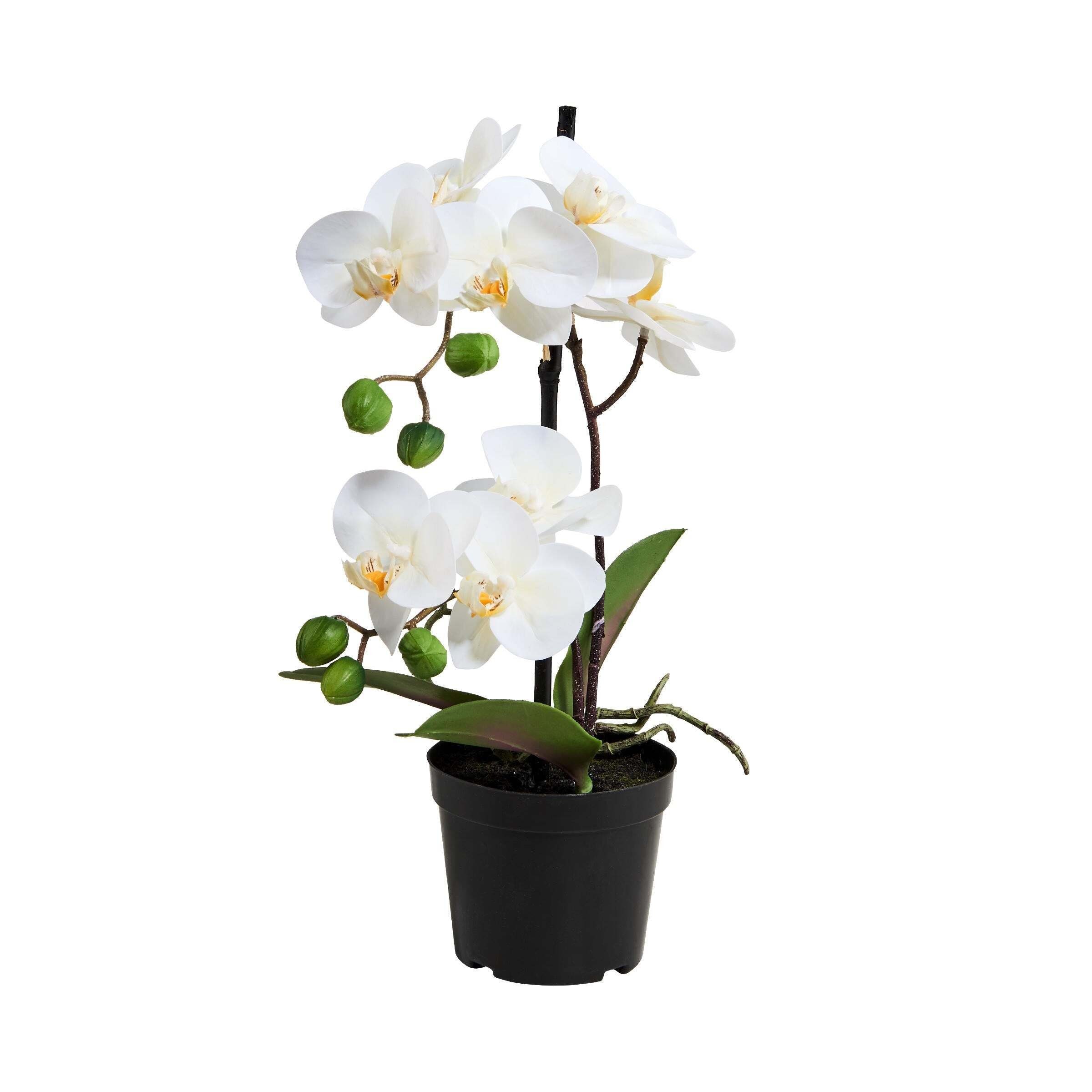 Kunstblume FLORISTA Orchidee im Topf Höhe 35cm, BUTLERS, Höhe 35 cm