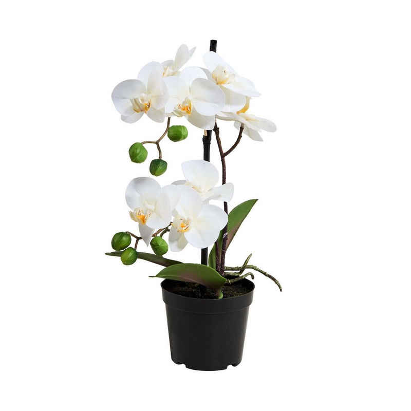 Kunstblume »FLORISTA Orchidee im Topf 35 cm«, BUTLERS, Höhe 35 cm