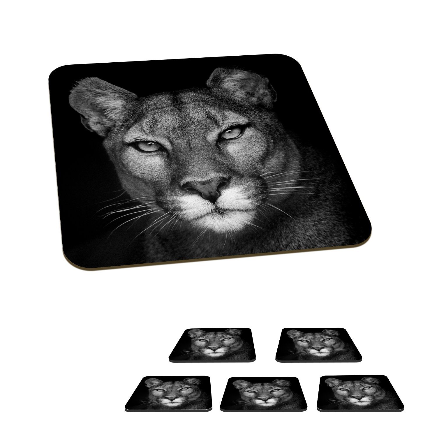 MuchoWow Glasuntersetzer Porträtfoto eines Pumas auf schwarzem Hintergrund, Zubehör für Gläser, 6-tlg., Glasuntersetzer, Tischuntersetzer, Korkuntersetzer, Untersetzer, Tasse