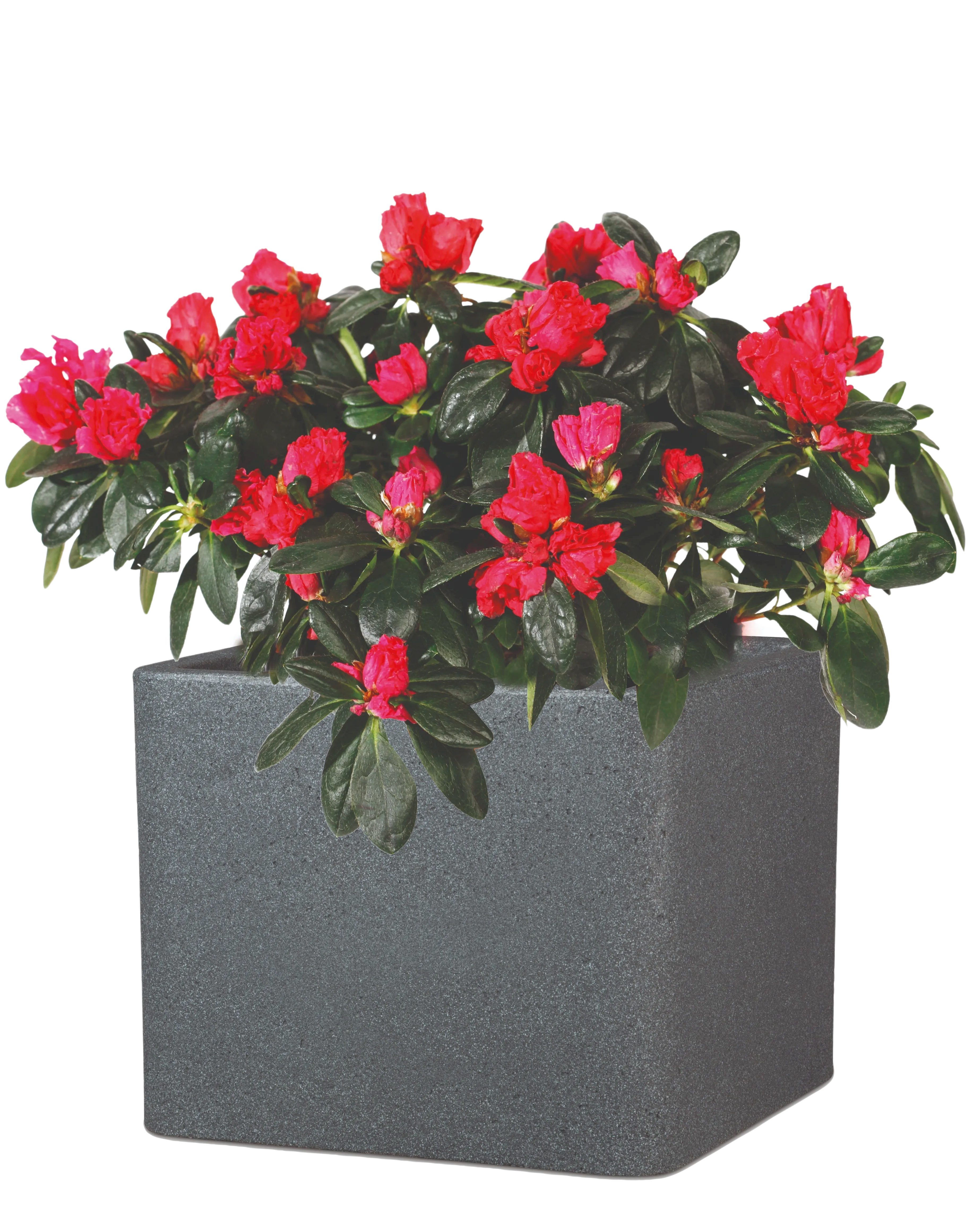 aplanta Blumentopf Pflanztopf COMO Granit Schwarz, 29x29x23 cm