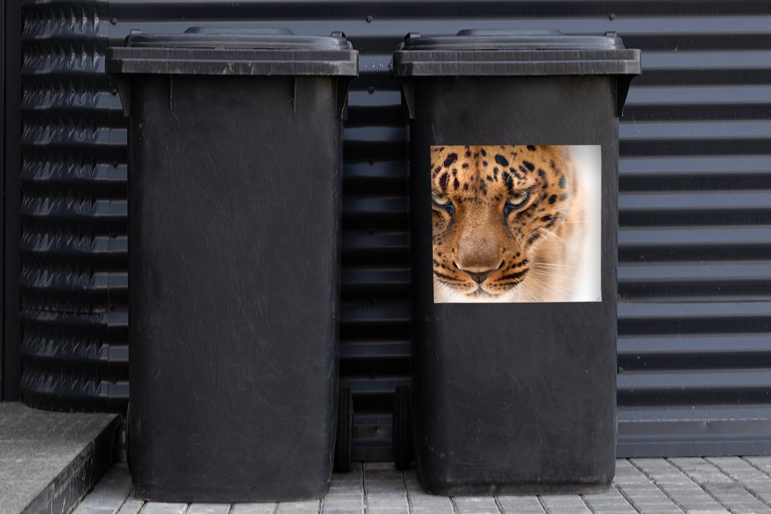 MuchoWow Wandsticker Leopard - Porträt Abfalbehälter Sticker, Mülleimer-aufkleber, (1 Container, Augen St), - Mülltonne