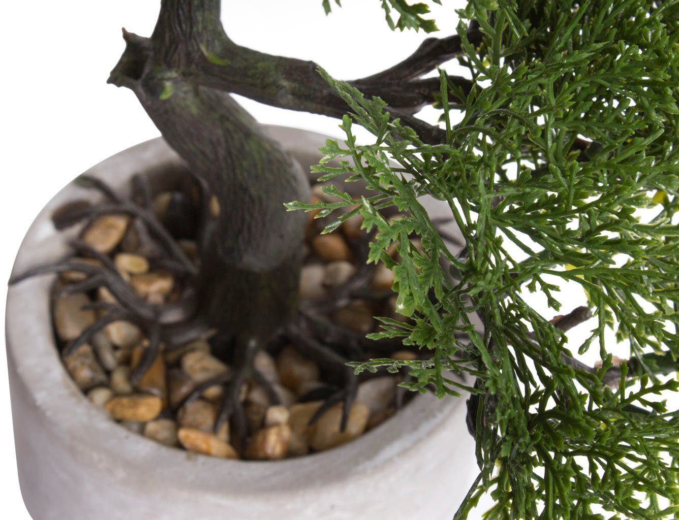 Kunstbonsai Ceder Bonsai Ceder, Botanic-Haus, Höhe günstig online kaufen