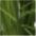 Kunstgras Gras, Creativ green, Höhe 90 günstig online kaufen