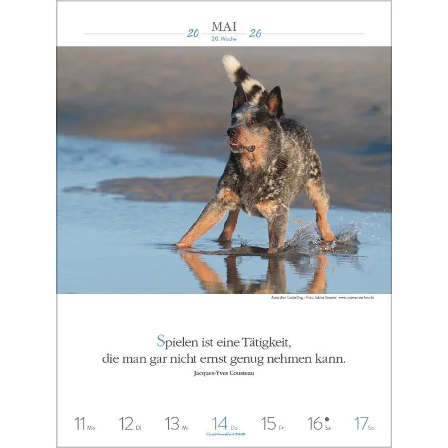 Korsch Verlag Wandkalender Literaturkalender Hunde 2026