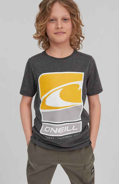 O'Neill T-Shirt »Flag Wave Ss T-Shirt«