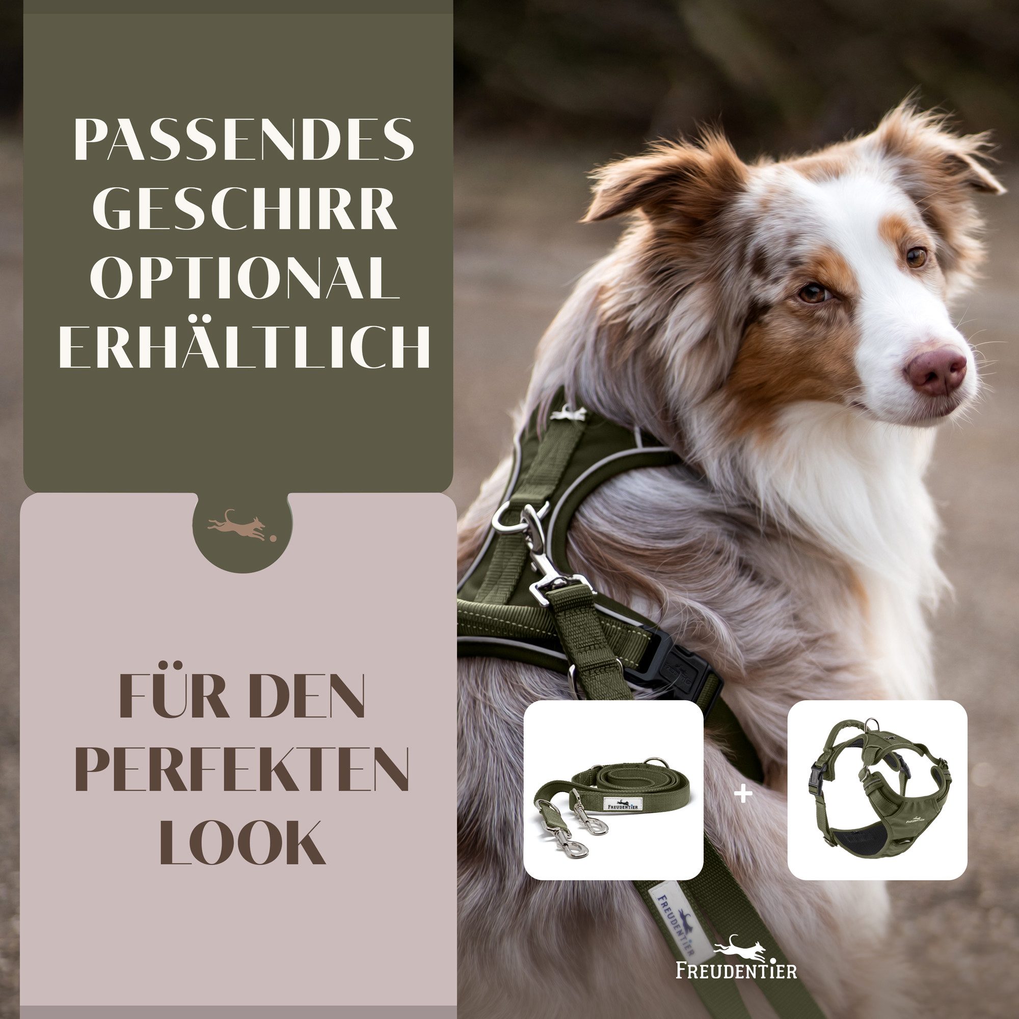 Freudentier Hundeleine 2m für mittelgroße & große Hunde, Führleine verstellbar, weich gepolstert – Bild 5 von 5