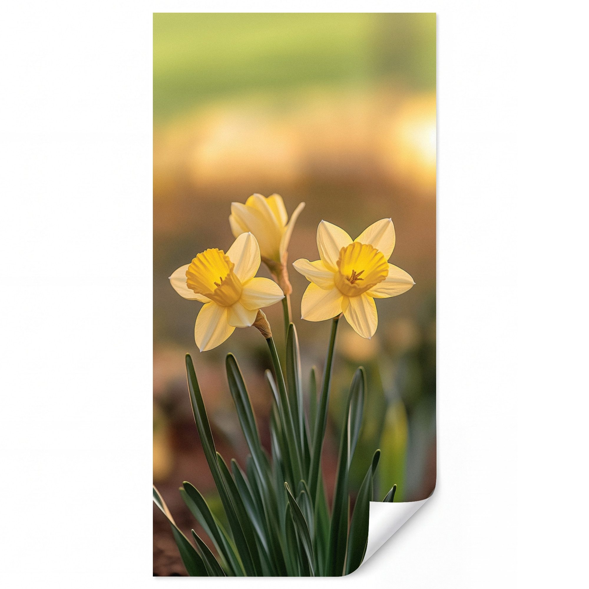 OnlyWow Fototapete Blumen - Gelb - Unscharf, Matt, bedruckt, Wandtapete, Schlafzimmer, Wanddekoration 100x220cm