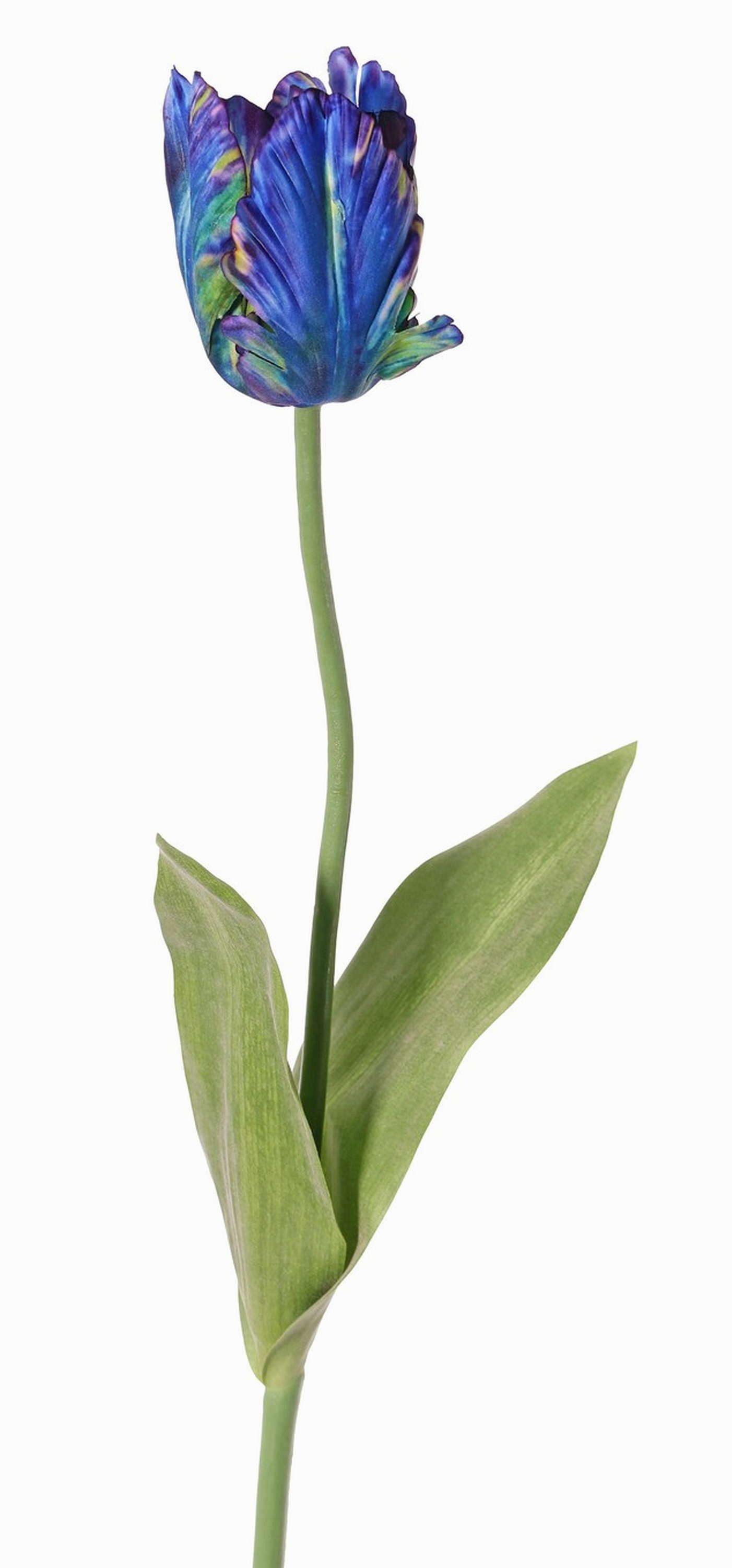 Kunsttulpe Künstliche Papageientulpe Uakari, blau-grün, 65cm, Ø6cm Tulpe (Papageientulpe), artplants, Höhe 65.0 cm