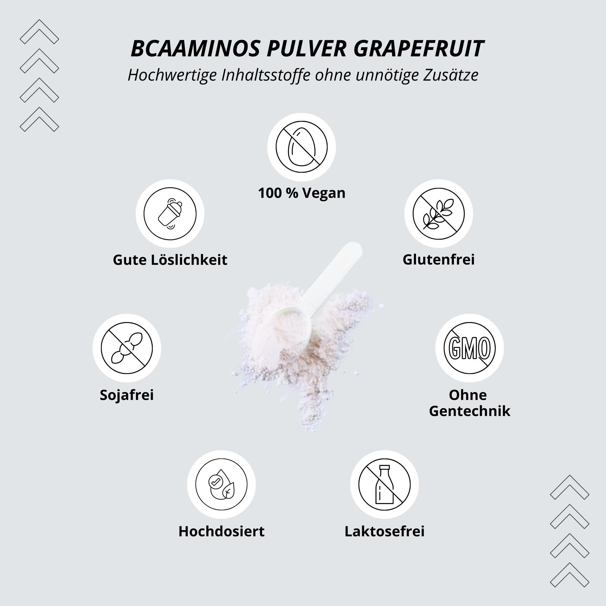 BCAA Instant Pulver 300g (7 Sorten) Pulver