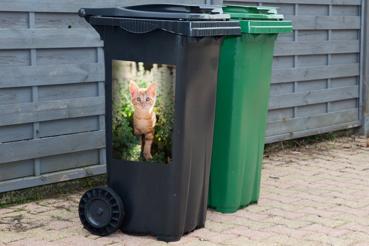 Ein MuchoWow Wandsticker Mülleimer-aufkleber, im Abfalbehälter Kätzchens Sticker, Mülltonne, eines Gebüsch Porträt Container, St), (1