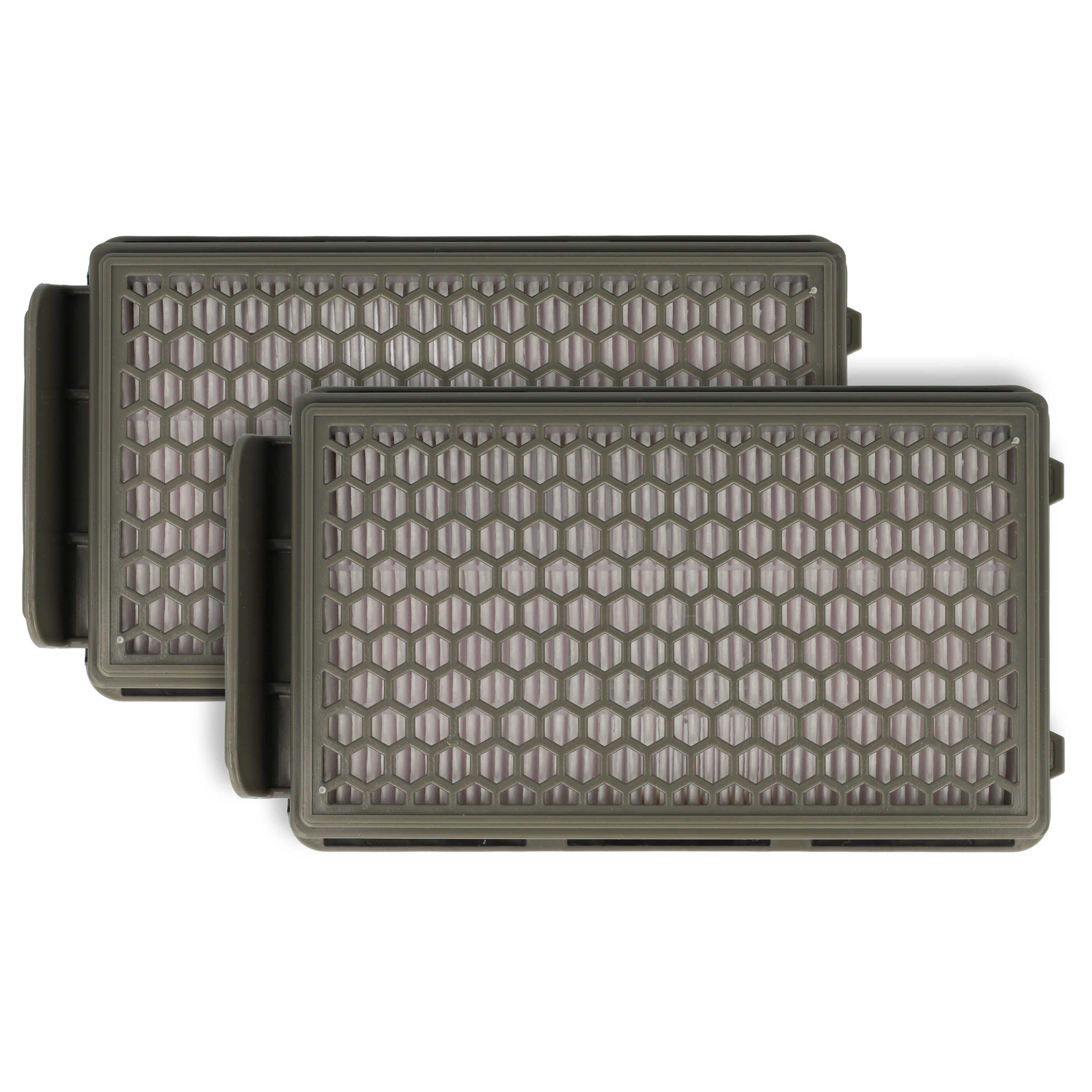vhbw HEPA-Filter passend für Rowenta RO3731, RO3731EA, RO373, RO3731EA / 4Q0, Zubehör für Rowenta RO3731 RO3731EA RO373 RO3731EA / 4Q0