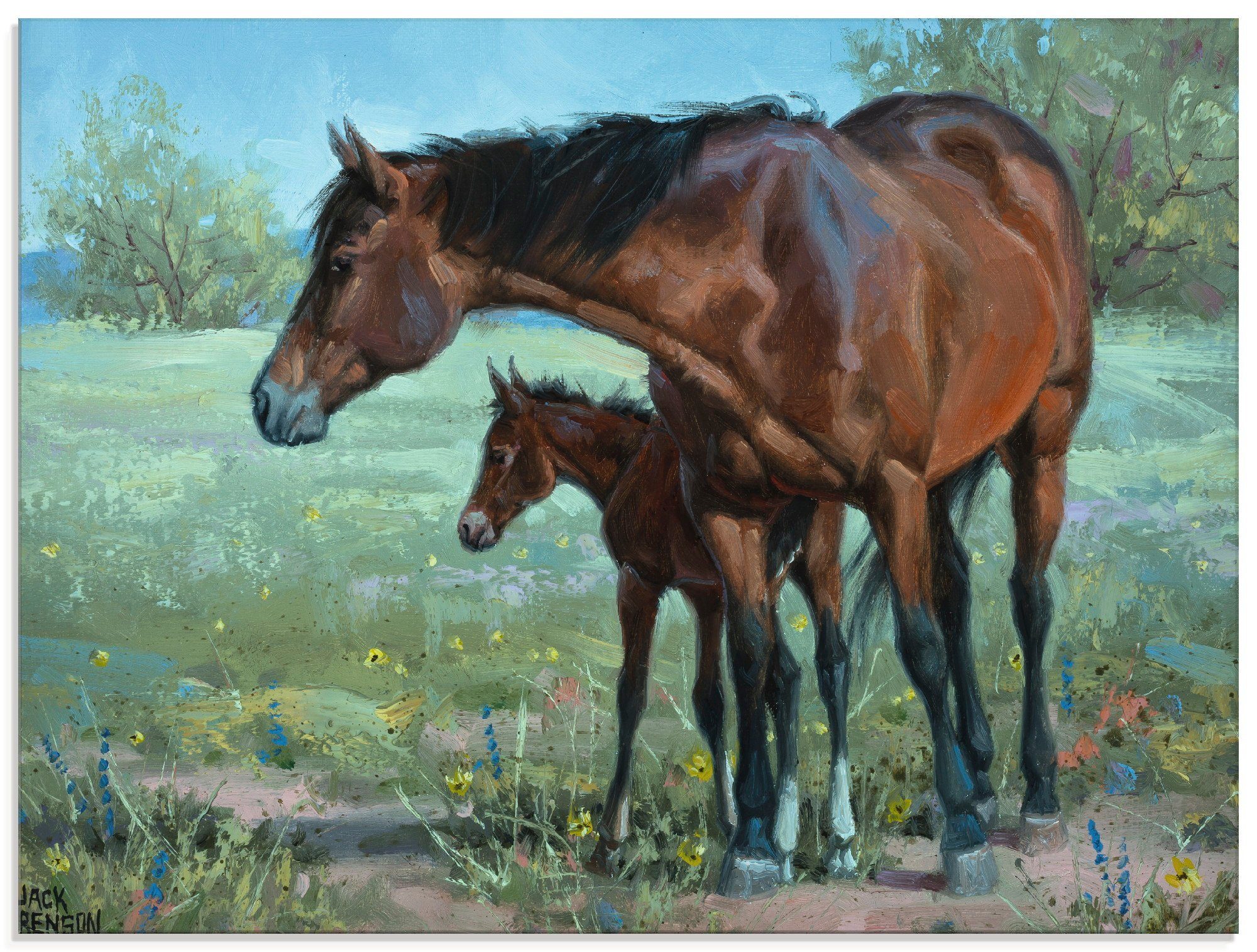Artland Glasbild »Wachsames Auge«, Haustiere (1 Stück)-Otto