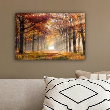 OneMillionCanvasses® Leinwandbild Herbst - Wald - Baum, (1 St), Wandbild Leinwandbilder, Aufhängefertig, Wanddeko, 30x20 cm