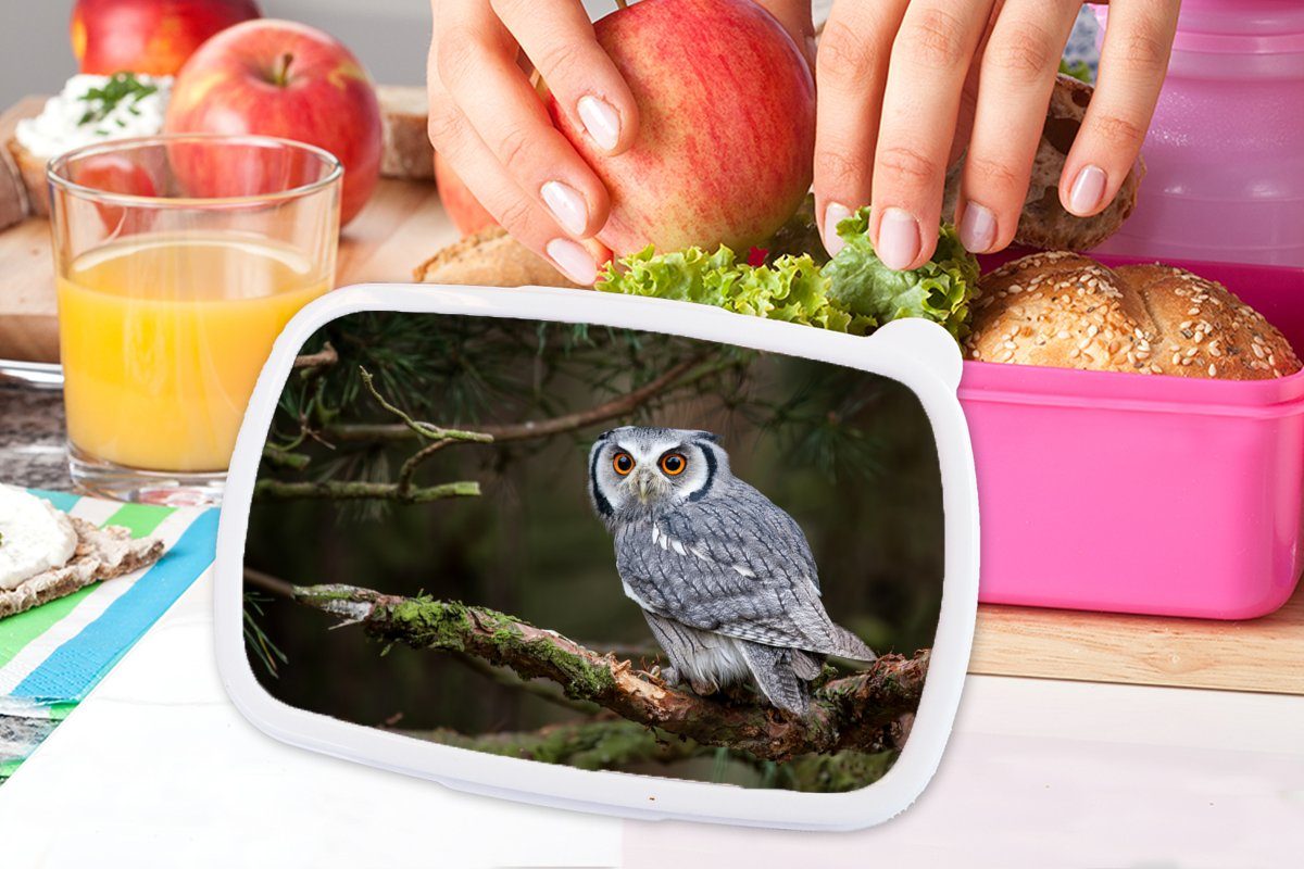MuchoWow Lunchbox Eule - Vogel Erwachsene, (2-tlg), Mädchen, für rosa - Brotbox Brotdose Snackbox, Kunststoff Kunststoff, Äste - Kinder, Natur