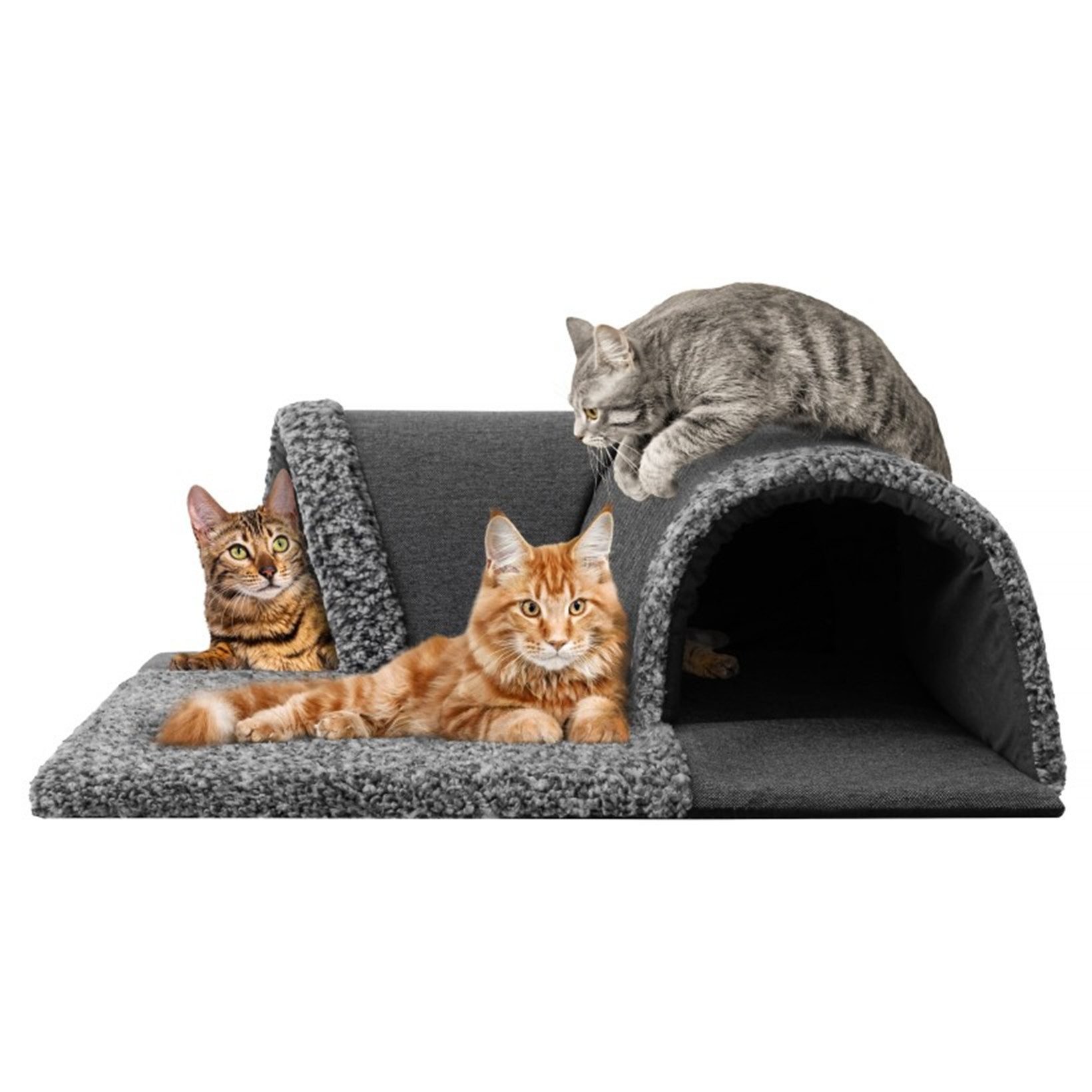 Hobbydog Tierbett Katzen Galerie Spieltunnel Rutschfeste Katzenmatte Katzenbett Waschbar