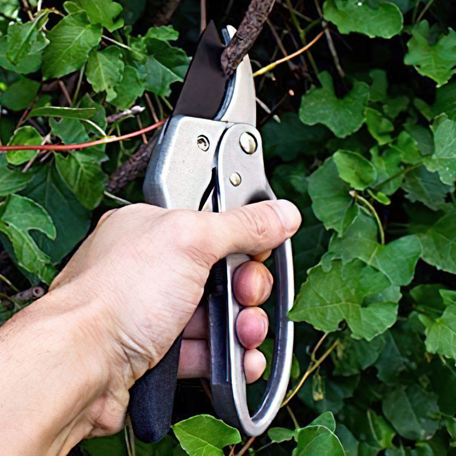 Goods+Gadgets Gartenschere Universal Blumenschere, geschmiedete Klinge günstig online kaufen