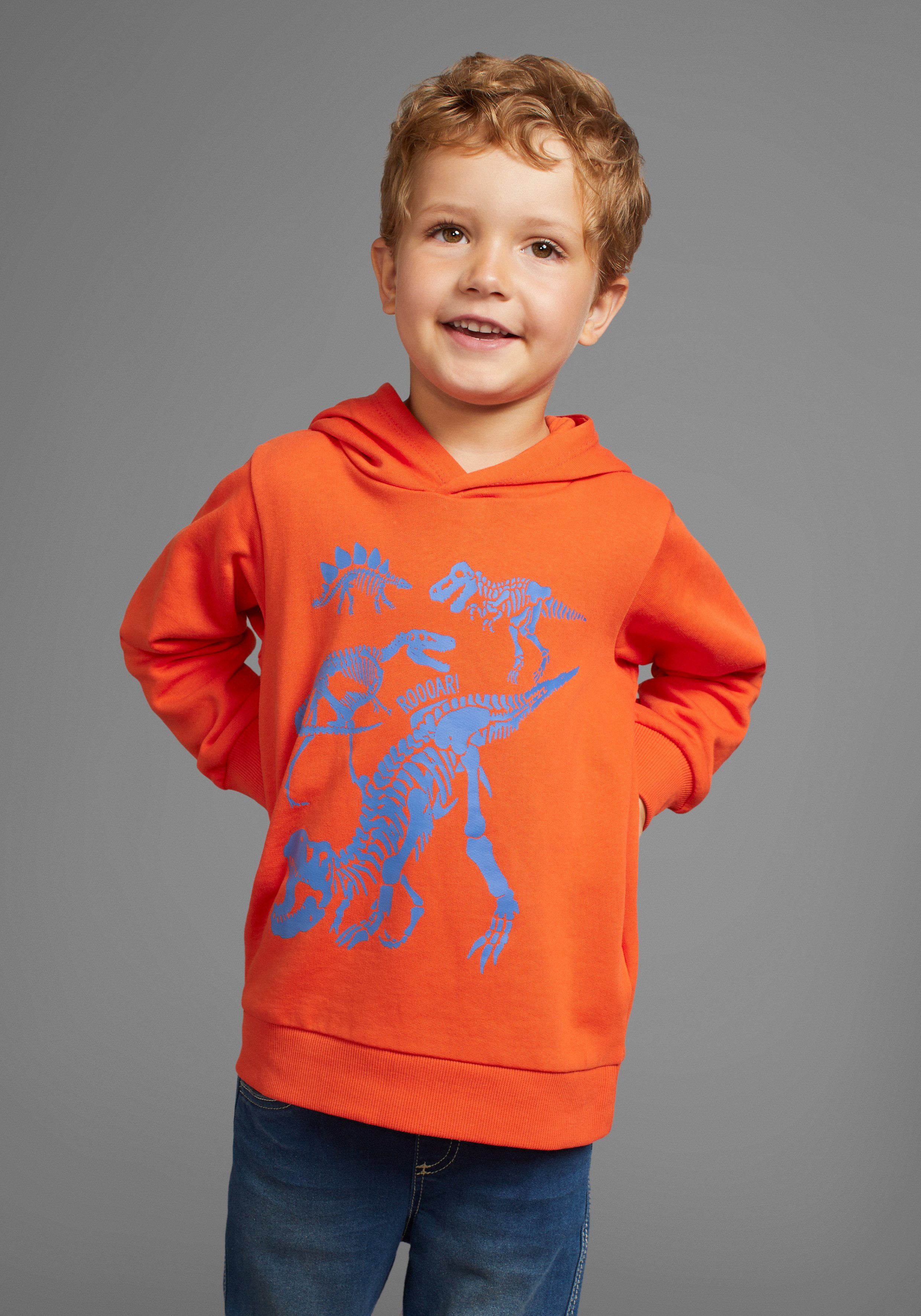 Kapuzensweatshirt DINO