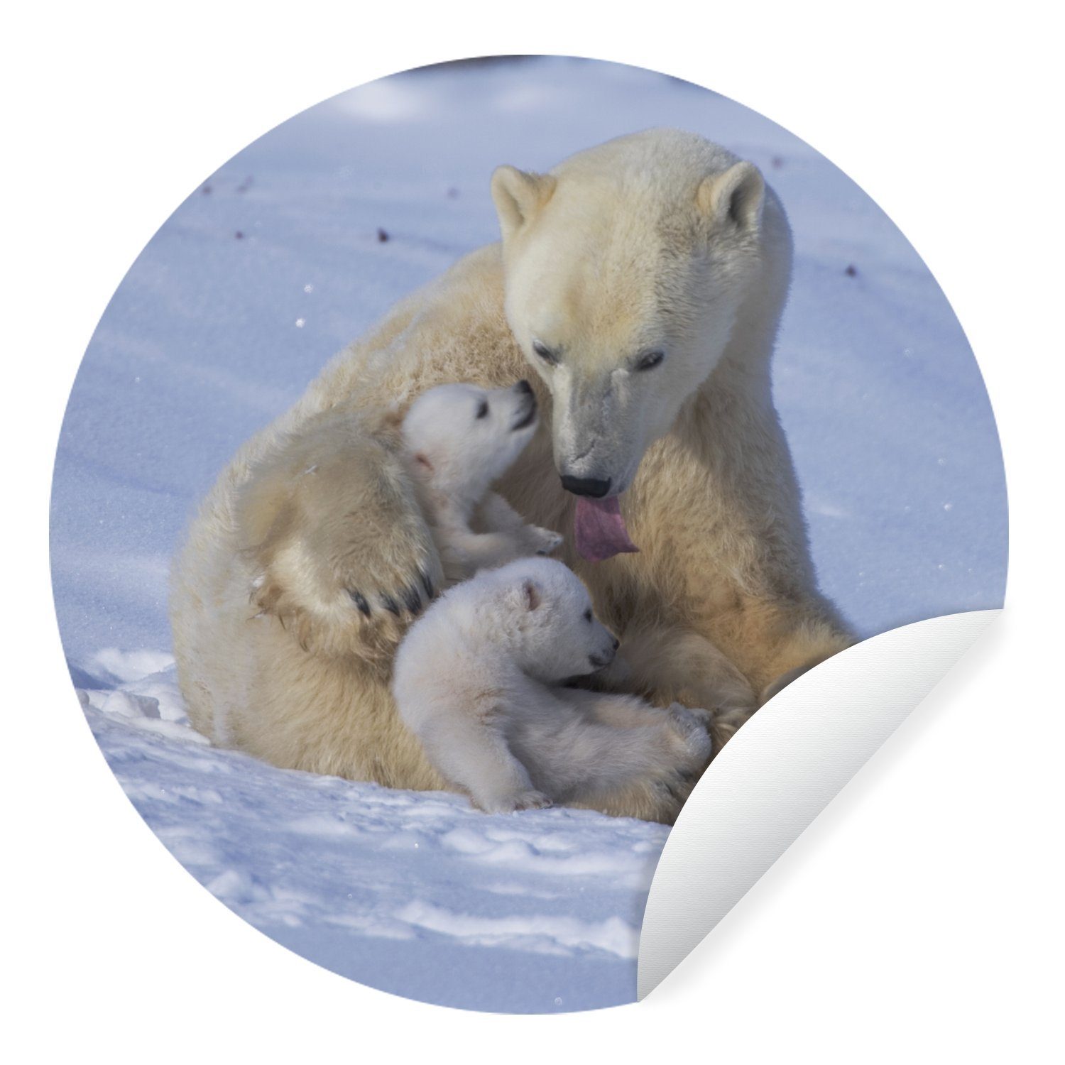 MuchoWow Wandsticker Eisbären - Schnee - Weiß (1 St), Tapetenkreis für Kinderzimmer, Tapetenaufkleber, Rund, Wohnzimmer
