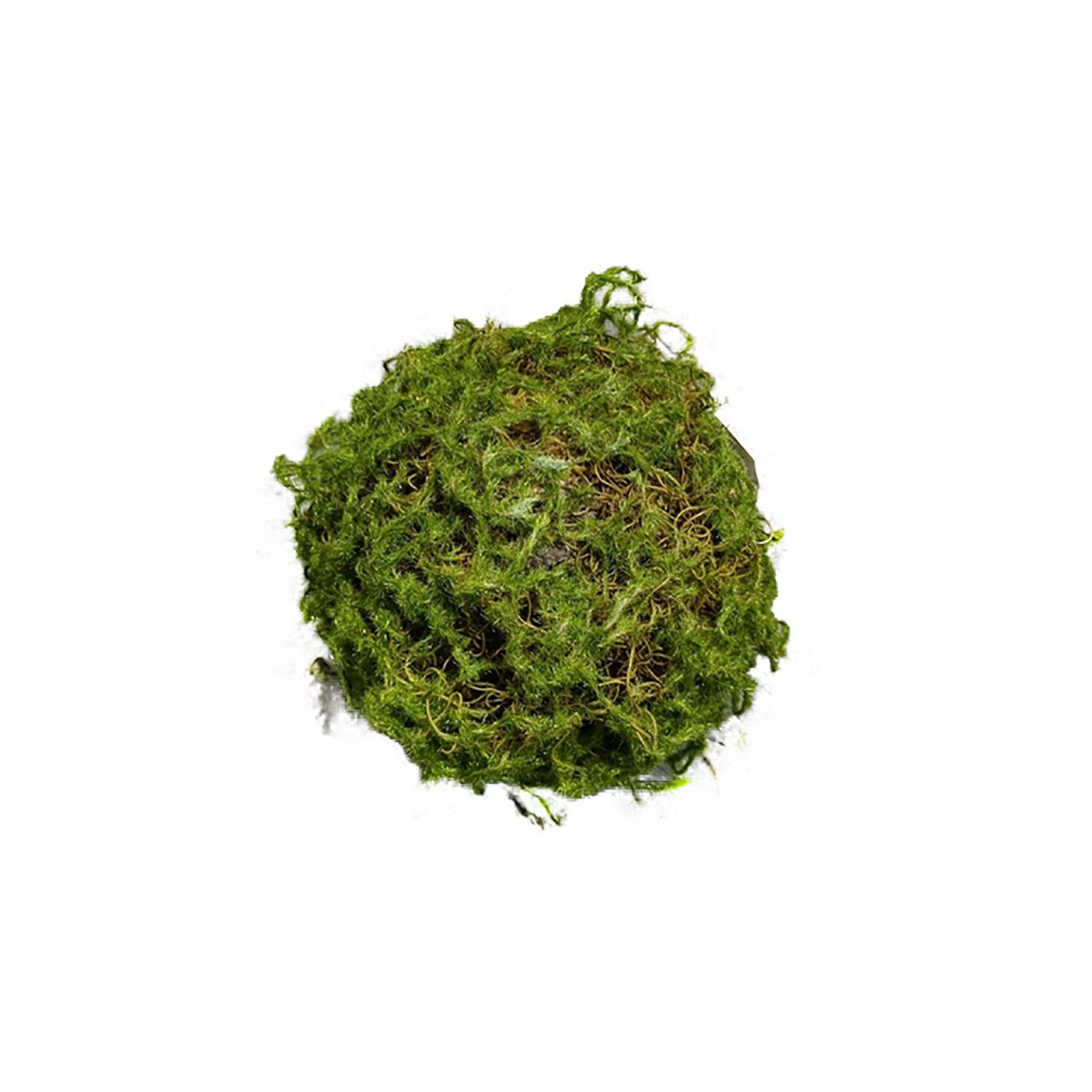Kunstblume Mooskugel 18 cm Kunstpflanze Flora, HTI-Living, Höhe 18 cm, Kuns günstig online kaufen