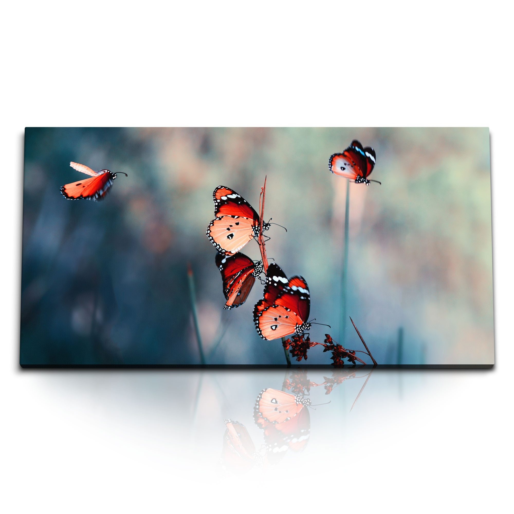 Leinwandbild Kunstdruck Bilder 120x60cm Schmetterlinge Tierfotografie Natur Kunstvo