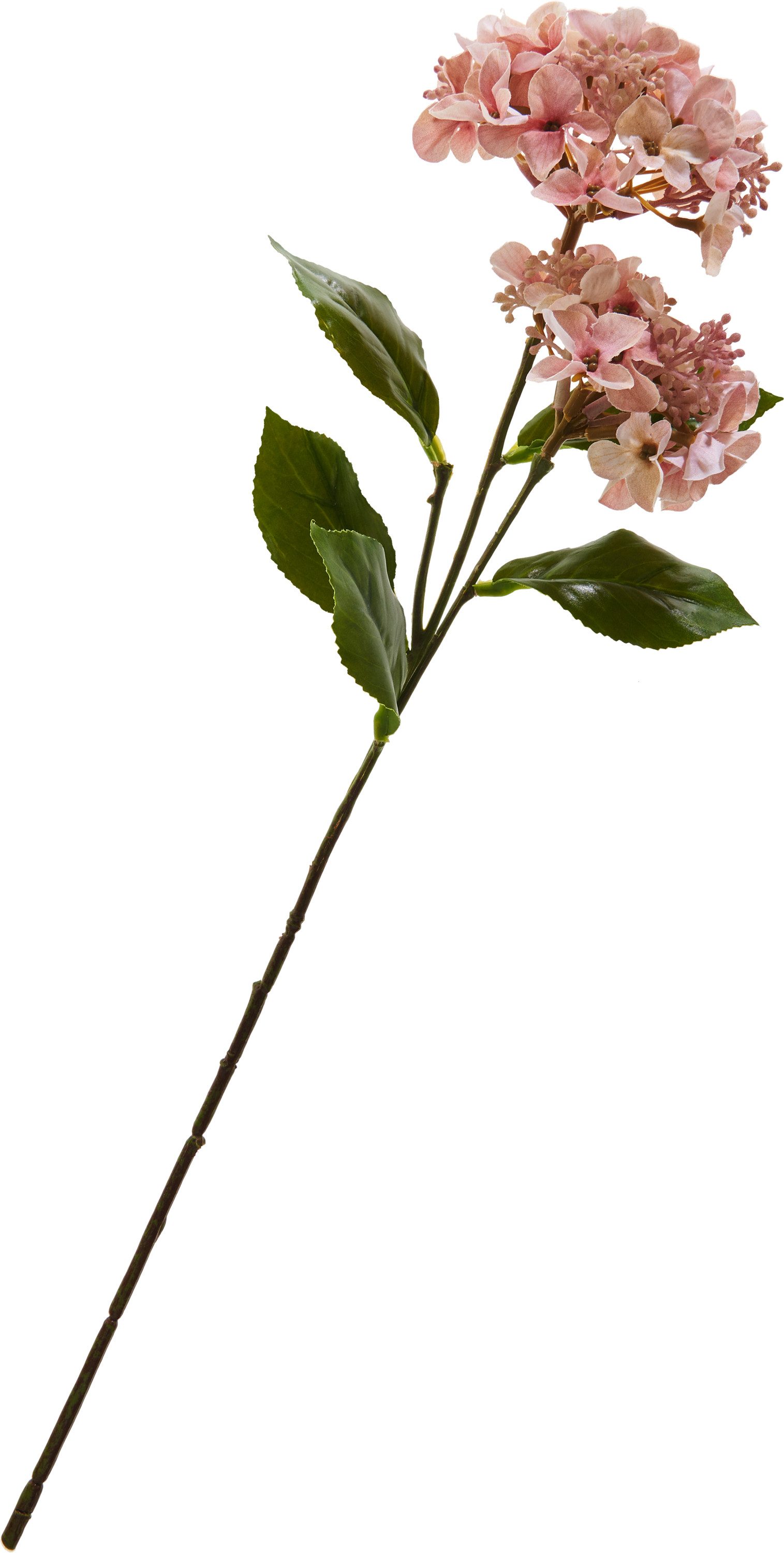 Kunstzweig Hortensie mit zwei Blüten, DPI, Länge 47 cm