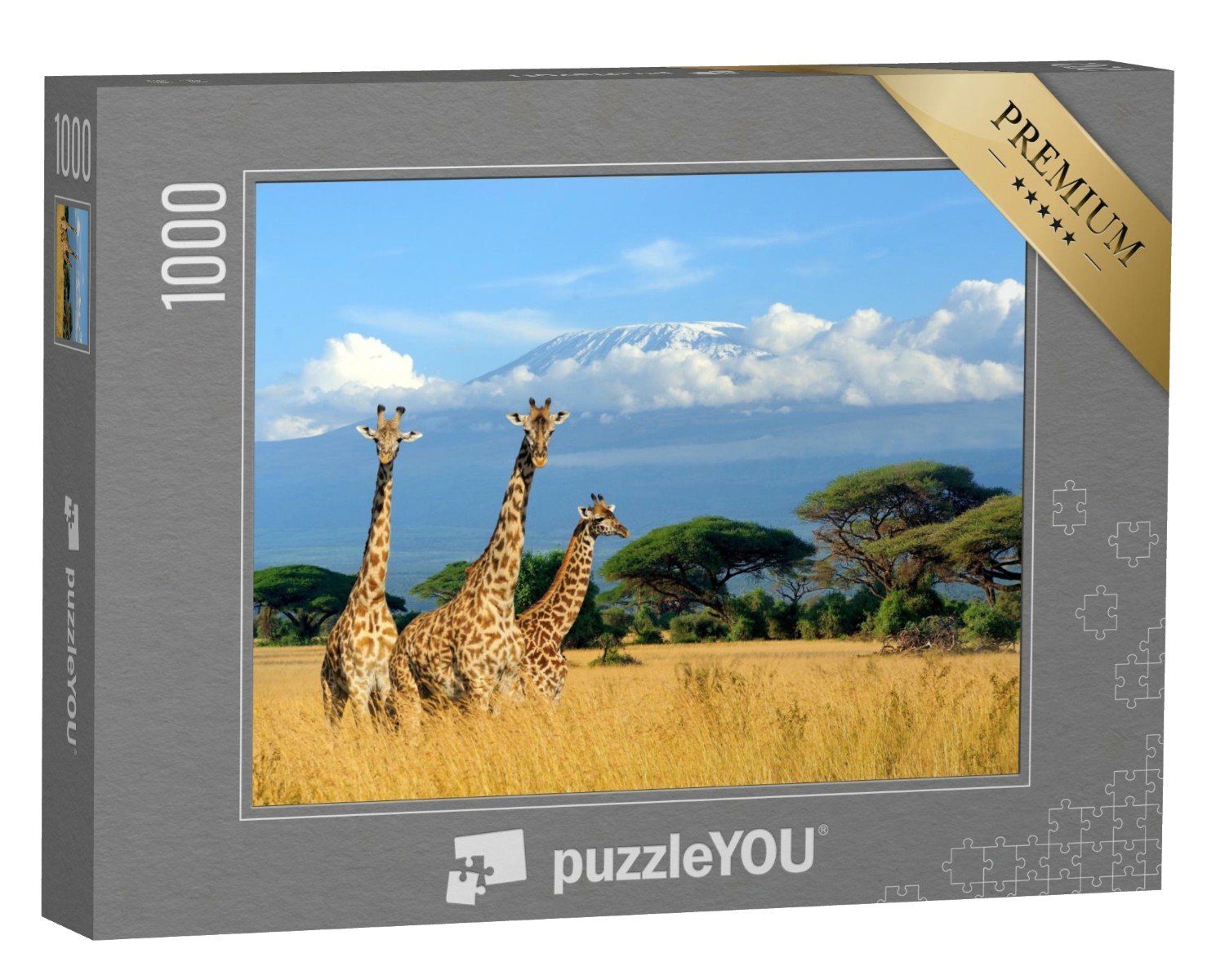 puzzleYOU Puzzle Drei Giraffen im Nationalpark von Kenia, 1000 Puzzleteile, puzzleYOU-Kollektionen Safari, Giraffen, Tiere in Savanne & Wüste