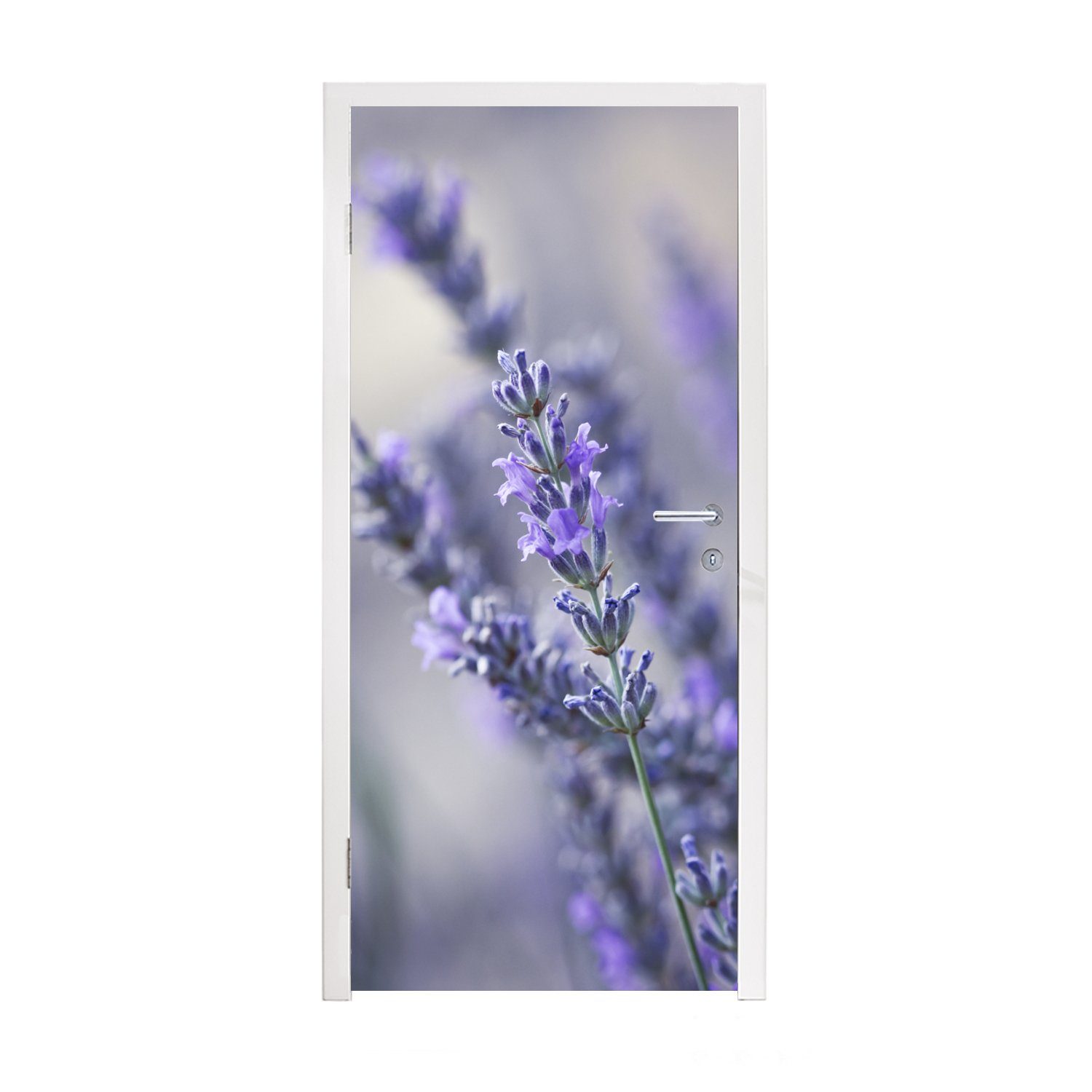 MuchoWow Türtapete Nahaufnahme einer lavendelfarbenen Blüte vor einem verblassten, Matt, bedruckt, (1 St), Fototapete für Tür, Türaufkleber, 75x205 cm