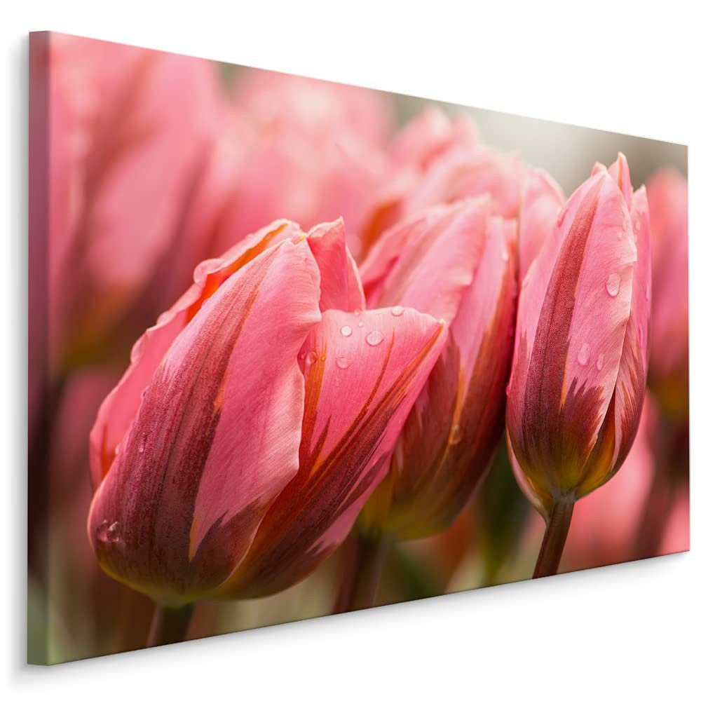Muralo Leinwandbild Landschaft – Leinwandbild Wandbild Kunstdruck Wohnzimmer, Gewässer (1 St), Natur – Pflanzen – Blumen, 70 x 50 cm, aufhängefertig