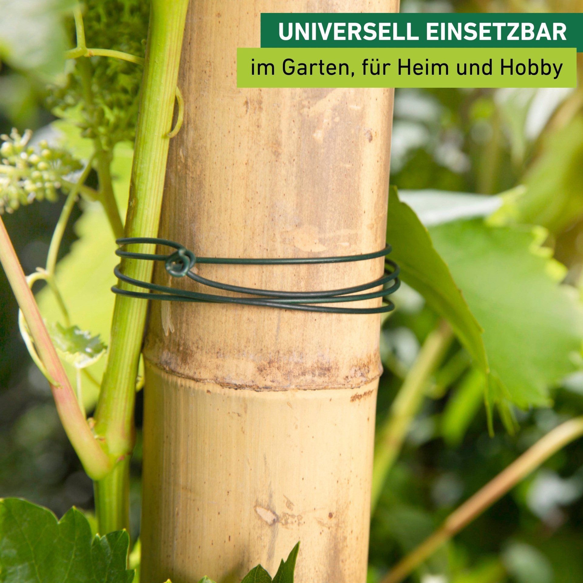 Windhager Pflanzschnur Gartendraht für Garten-, Binde- und Bastelarbeiten (1-tlg), Blumendraht erhältlich in 20 m oder 60 m, verzinkt, grün