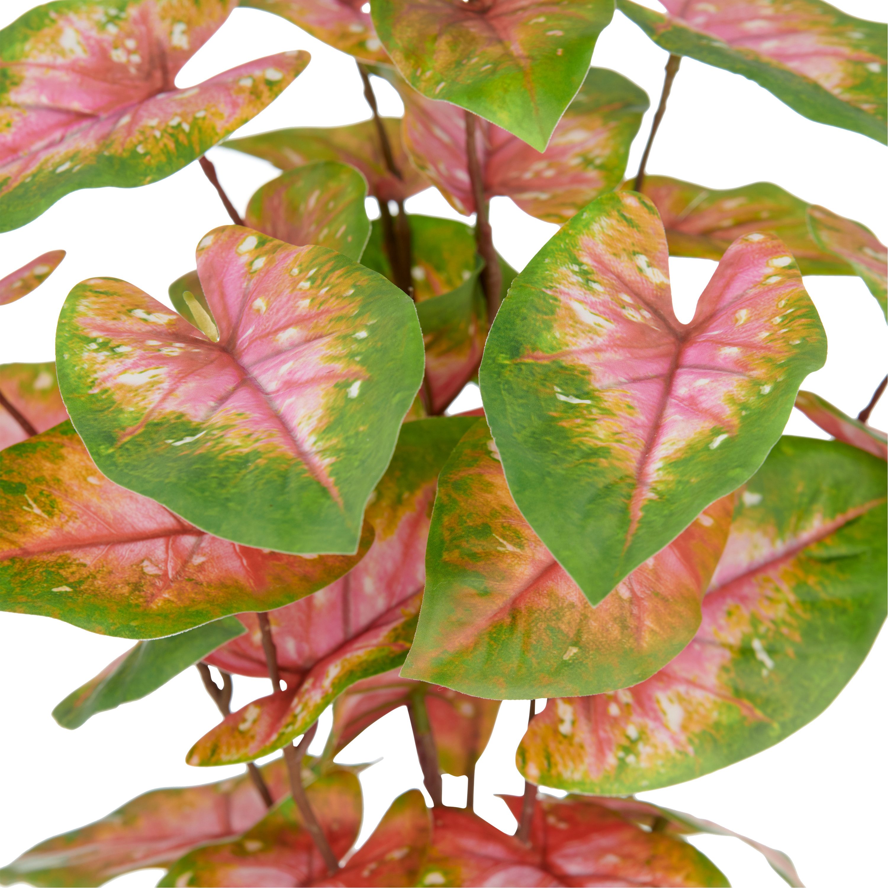 Kunstpflanze Caladium, Creativ green, Höhe 40 cm, mit außergewöhnlicher Bla günstig online kaufen