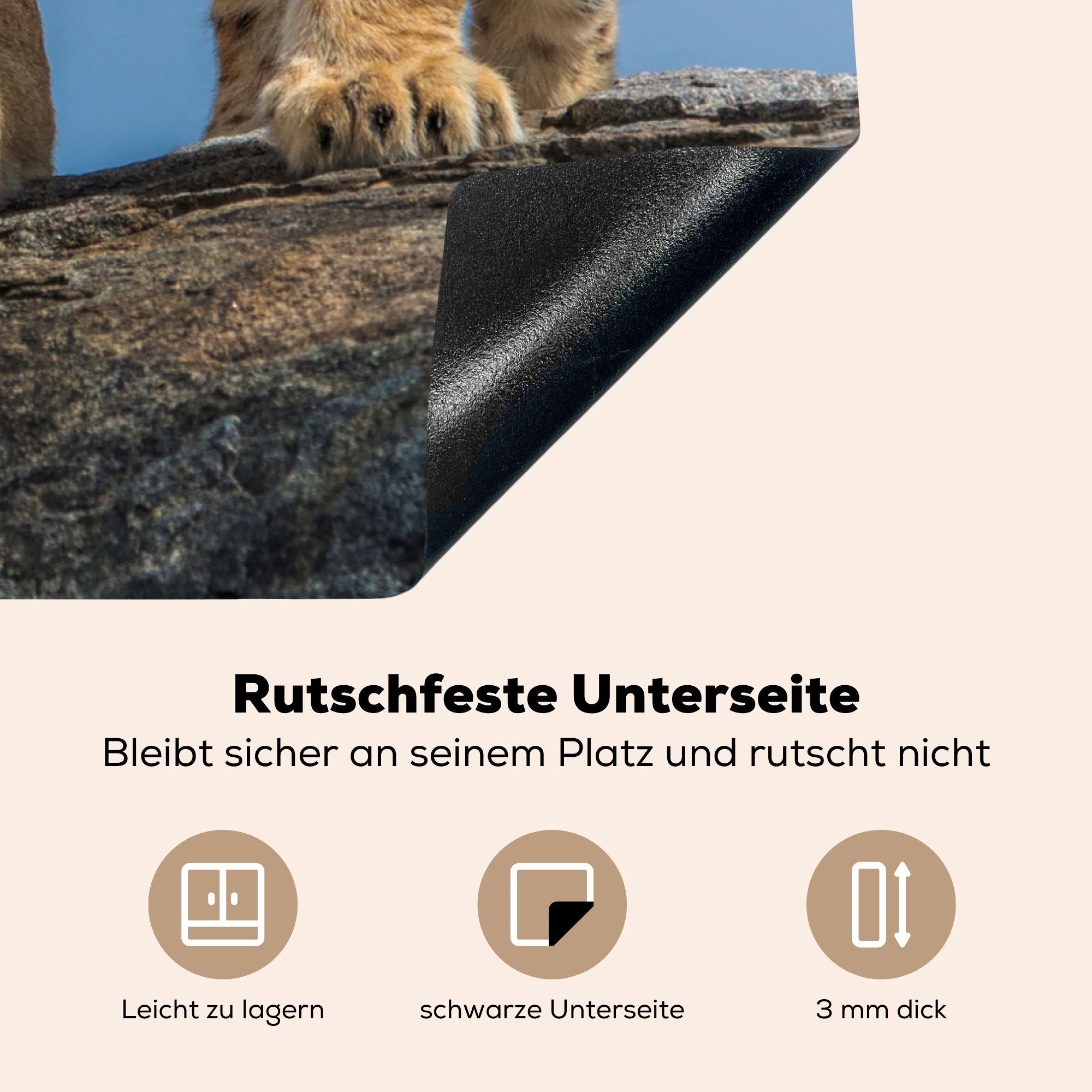 Löwe Herdblende-/Abdeckplatte 78x78 - küche für Vinyl, cm, - tlg), Arbeitsplatte MuchoWow Ceranfeldabdeckung, Wilde (1 Tiere, Baby